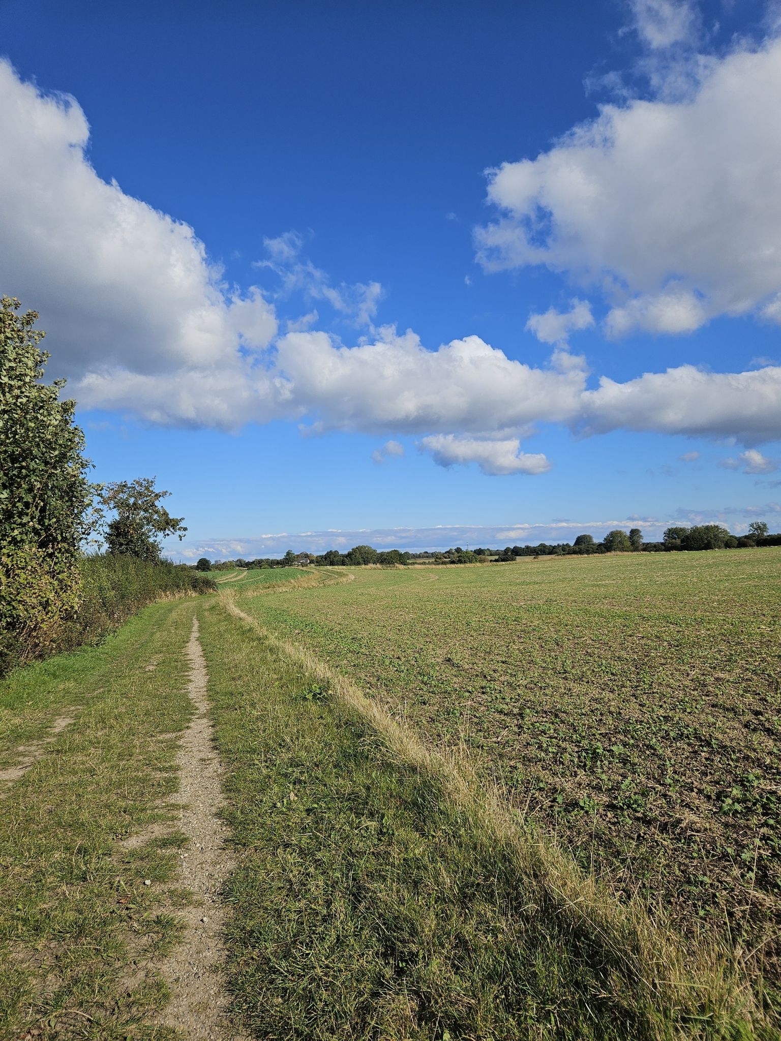 Feldweg, zum Laufen angenehm
