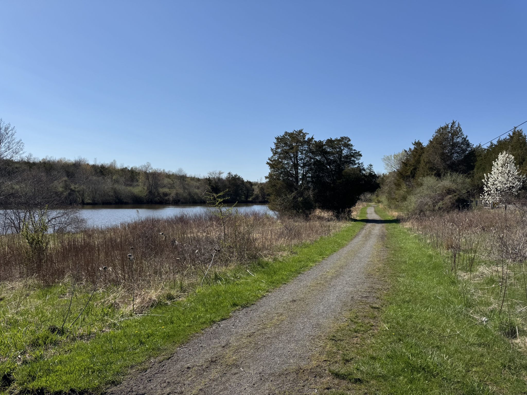 Gravel path next to a calm lake, surrounded by trees under blue sky. - Red Trail loop from Green Lane
