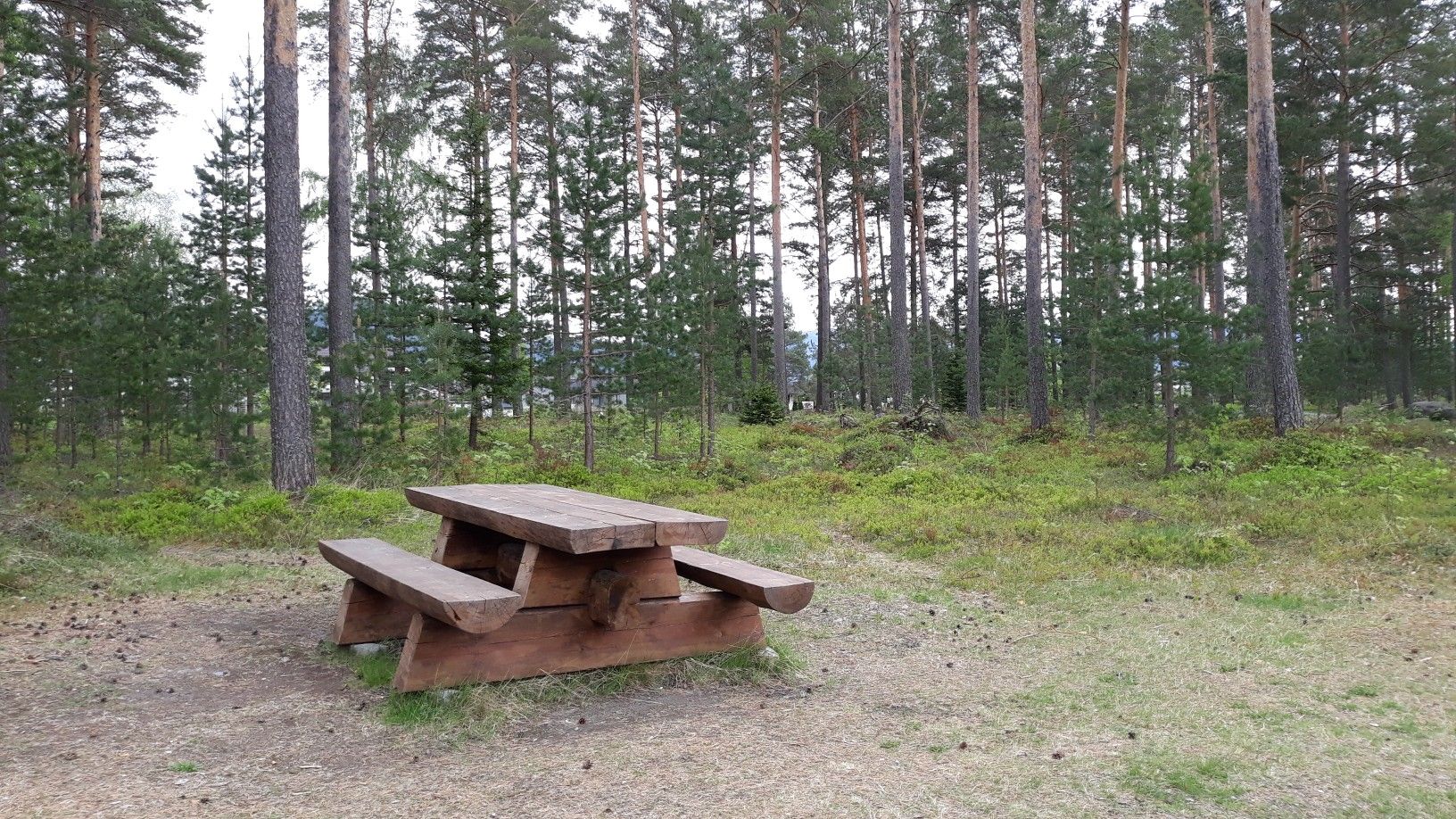 picnic in the park