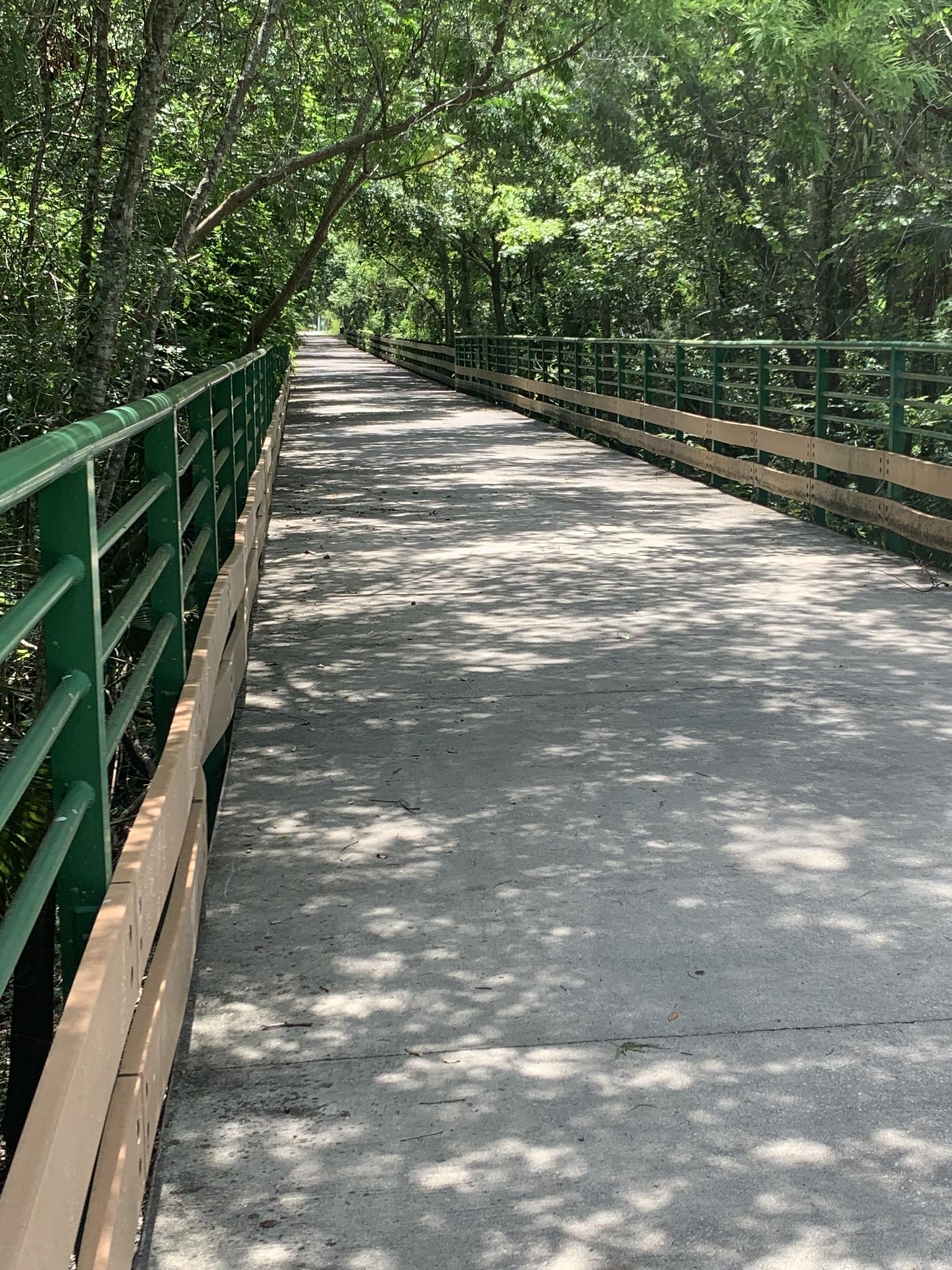 A long, paved bridge with green railings extends through a forest. - Cross Seminole Trail loop