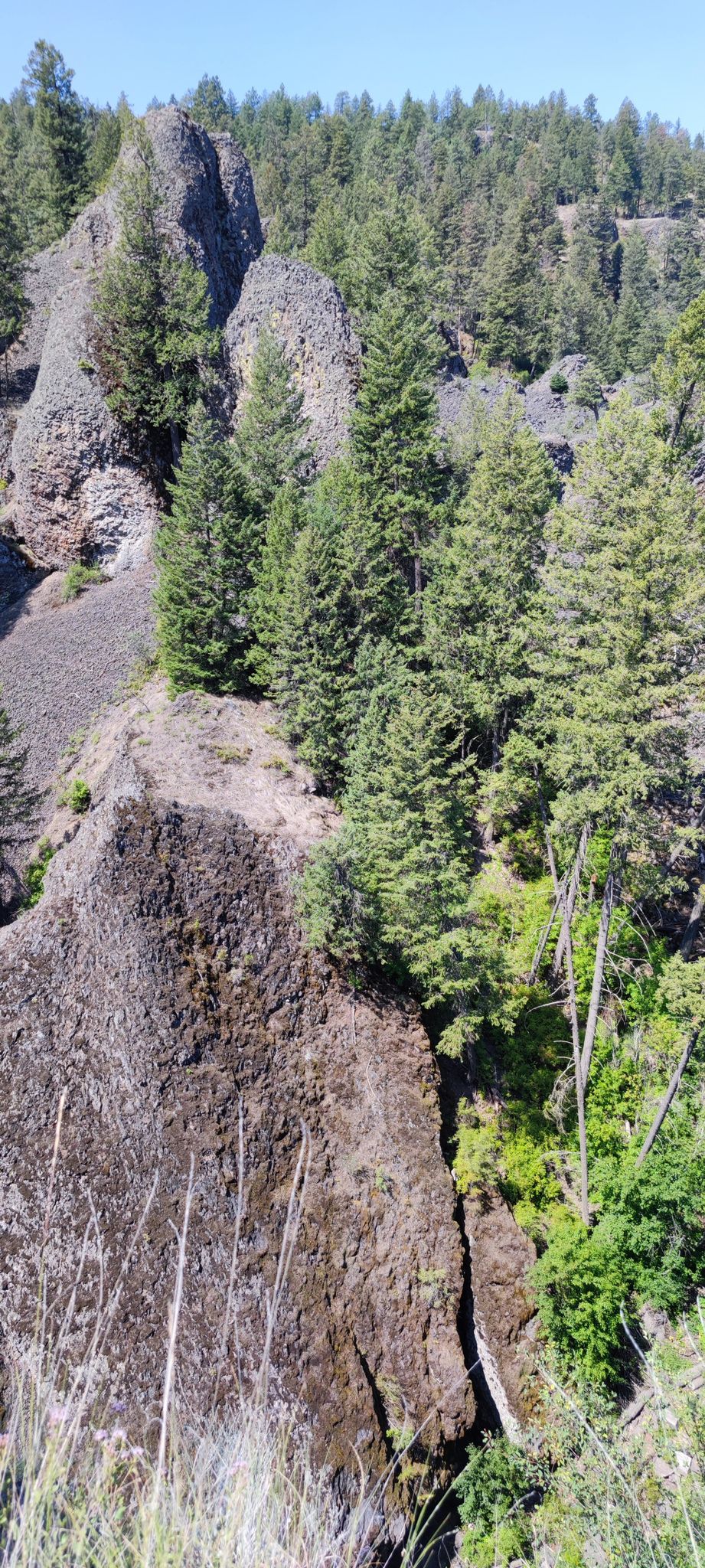 Steep rocky cliffs covered with scattered pine trees under a bright sky. - Deep Creek Overlook