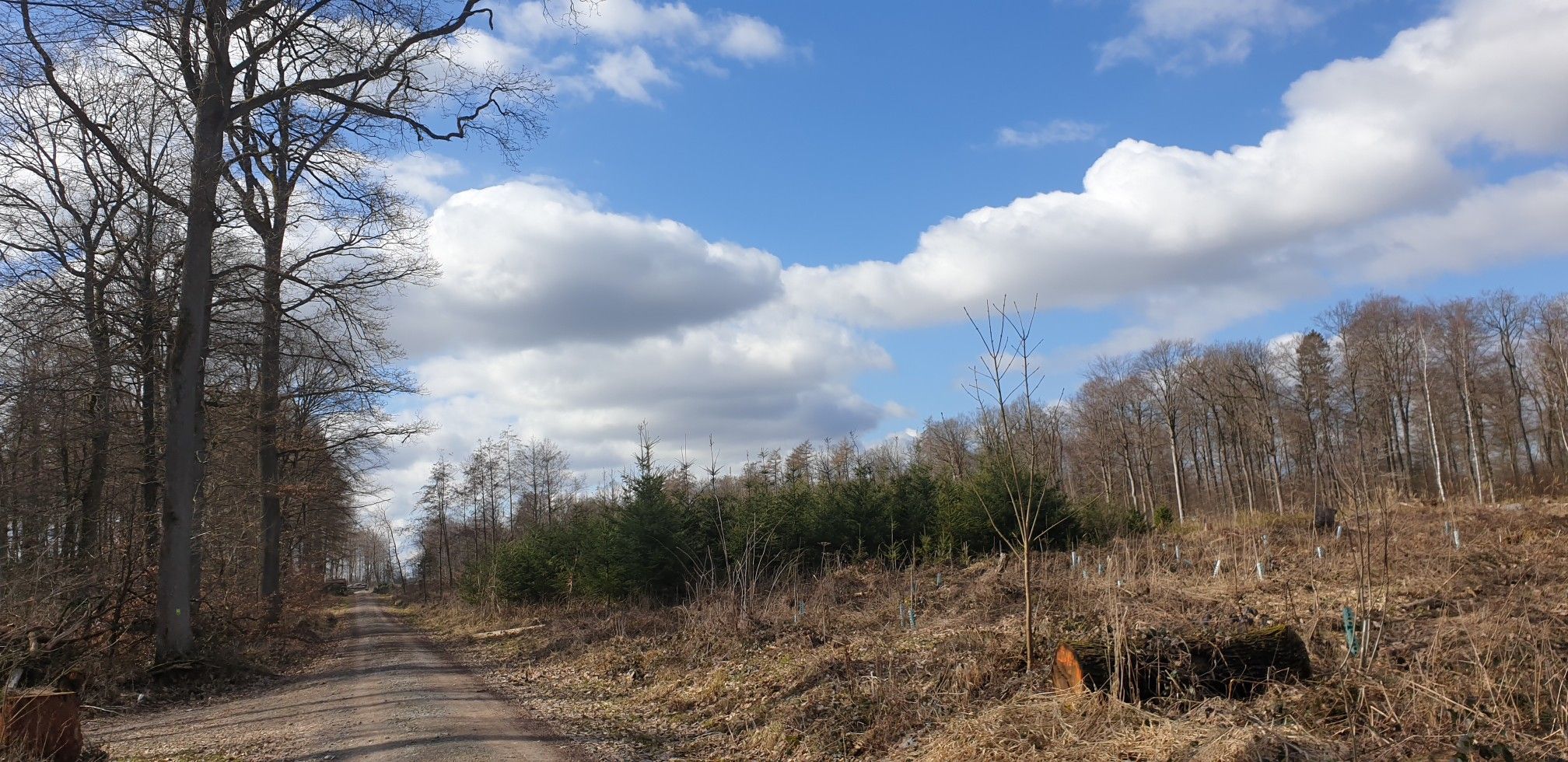 So liebe ich es, das Wetter!