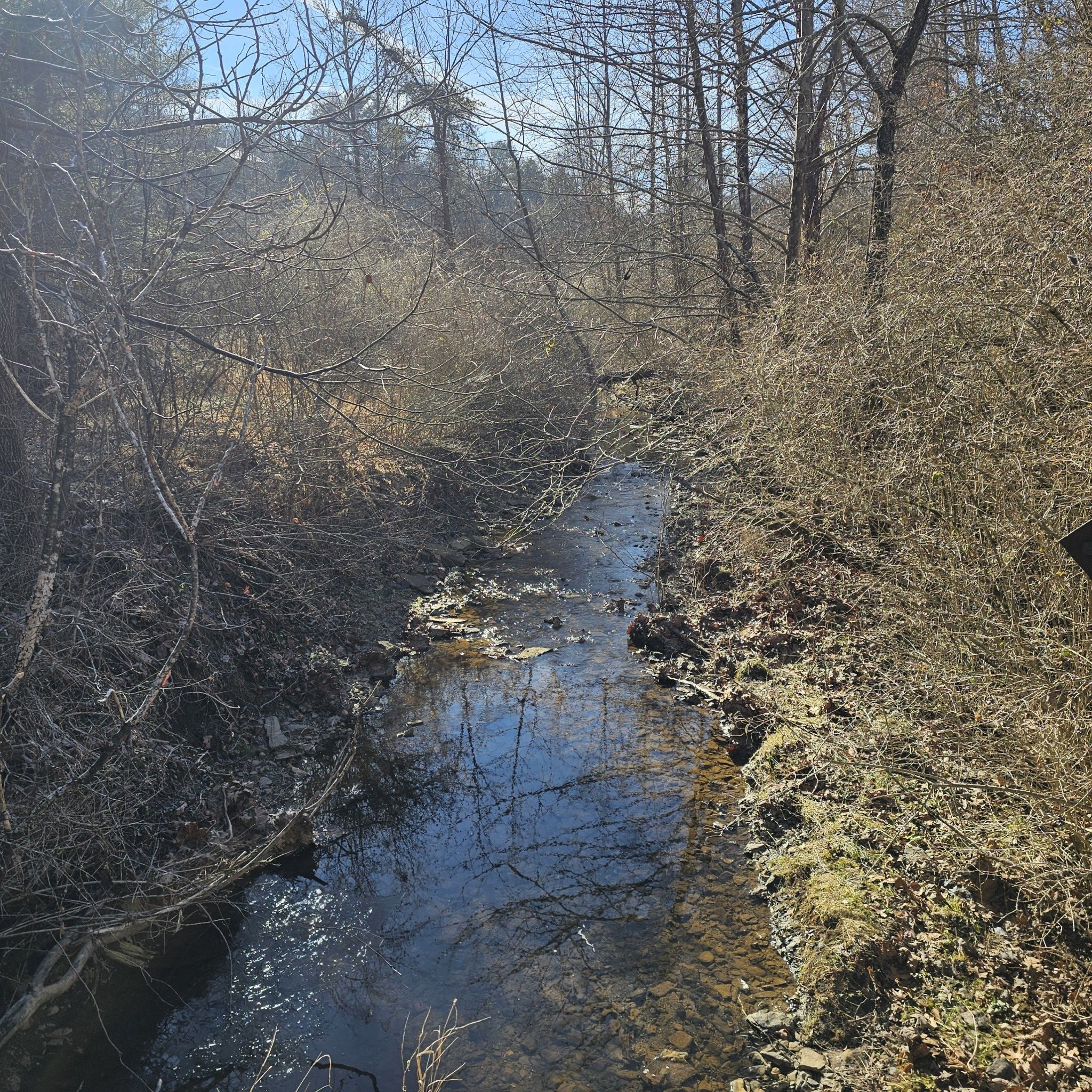 Sunny stream flowing through bare winter woods with rocky banks. - Coal Mining Heritage Park loop from Belmont