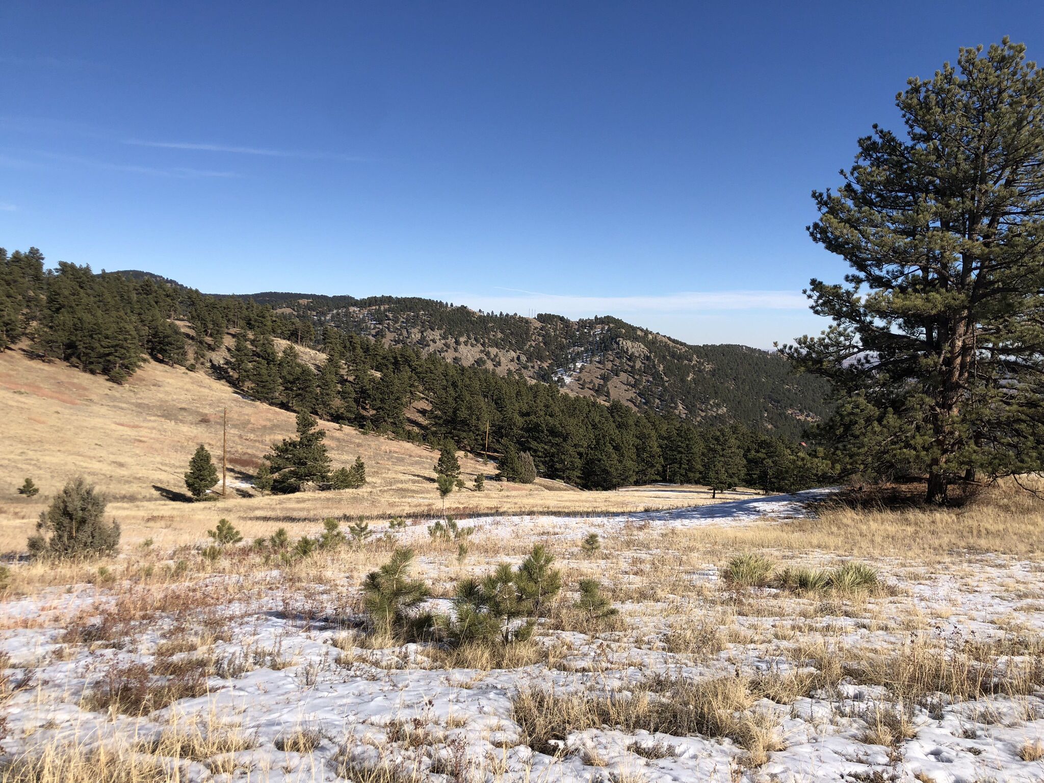 Sunny, clear day over a snowy, grassy field with distant pine-covered hills. - Betasso Preserve – Chapman Drive Trailhead loop from Boulder
