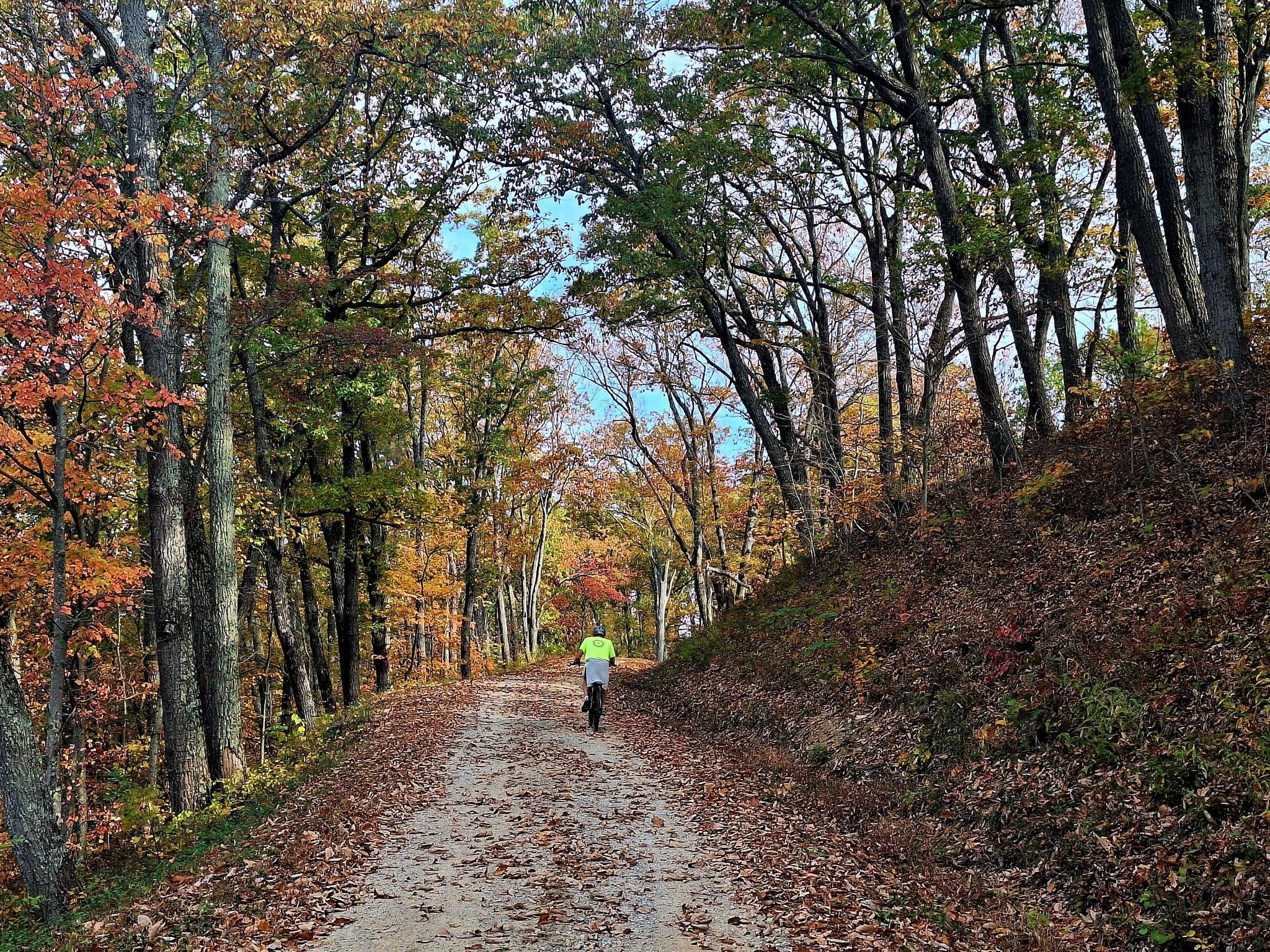 A person cycles on a leaf-strewn dirt path through an autumn forest. - Gravel loop from Scioto Trail State Forest