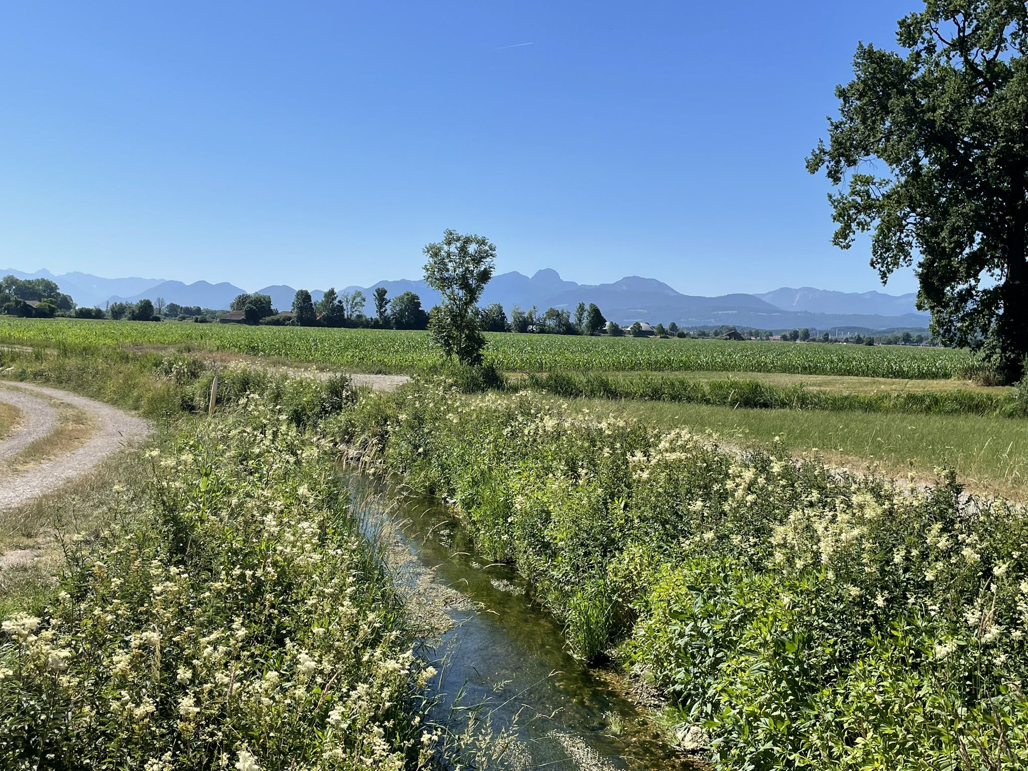 Moosbach mit Bergpanorama