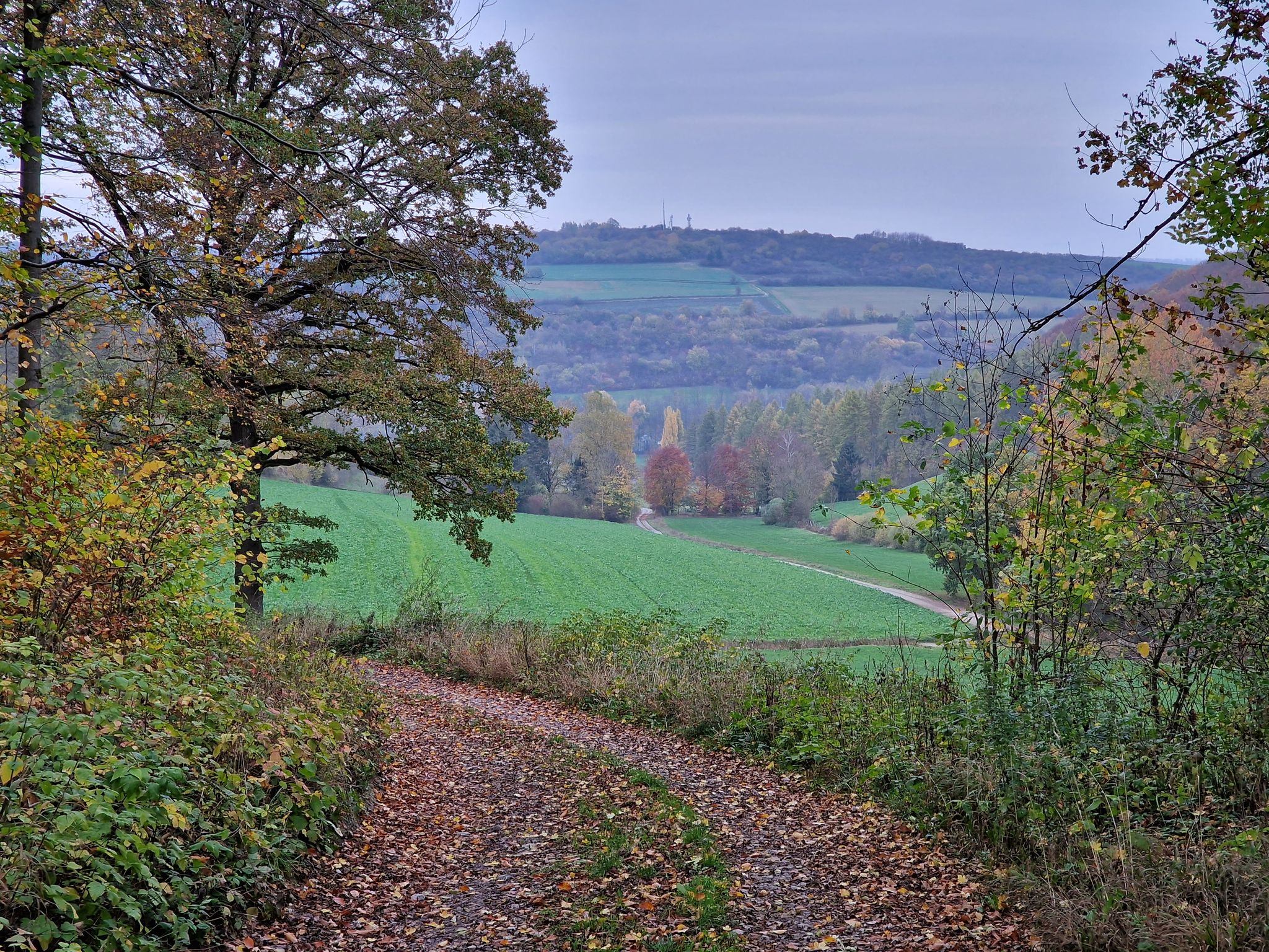 Rückwärtig hinab