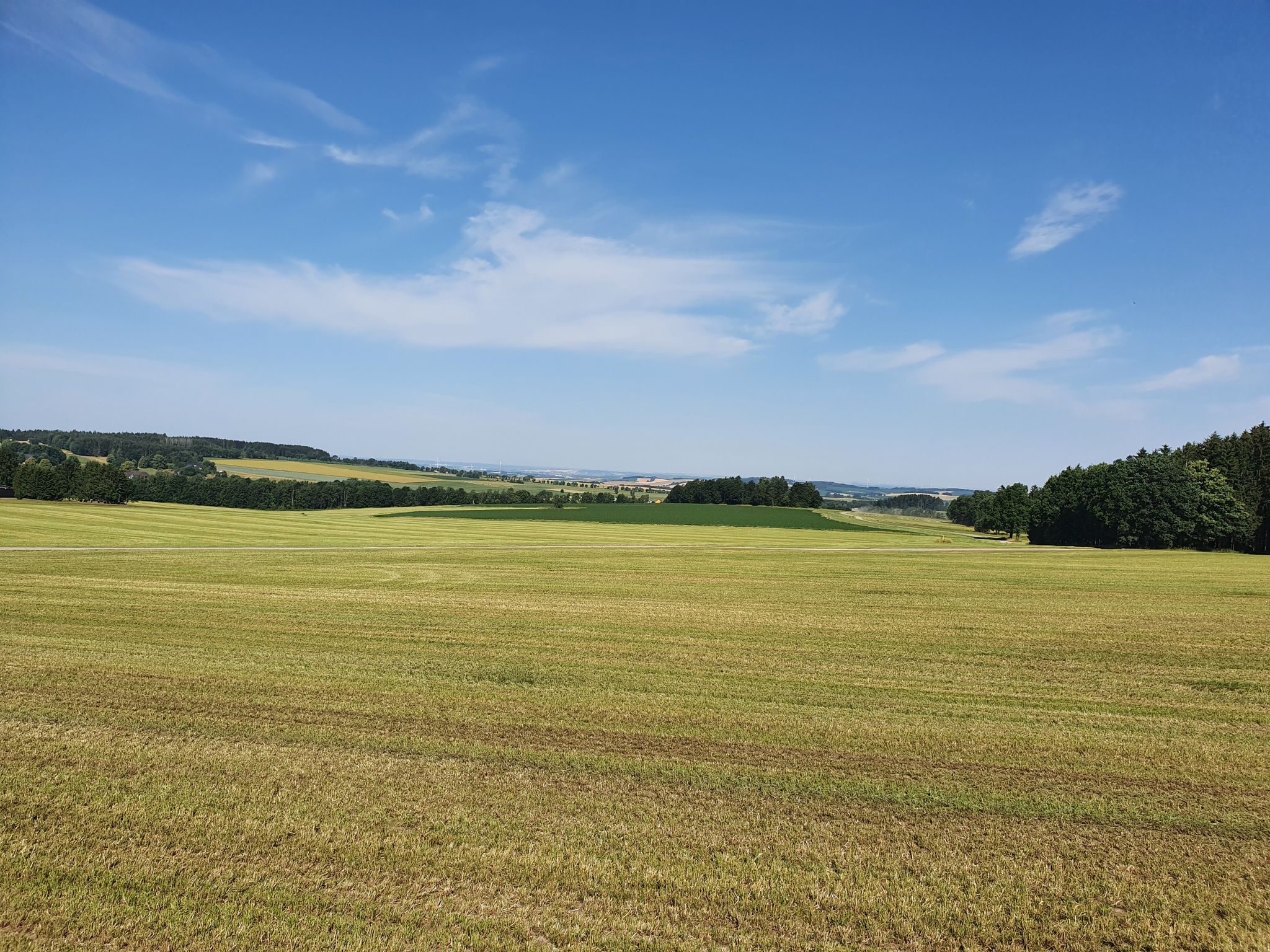 Zwickauer Becken