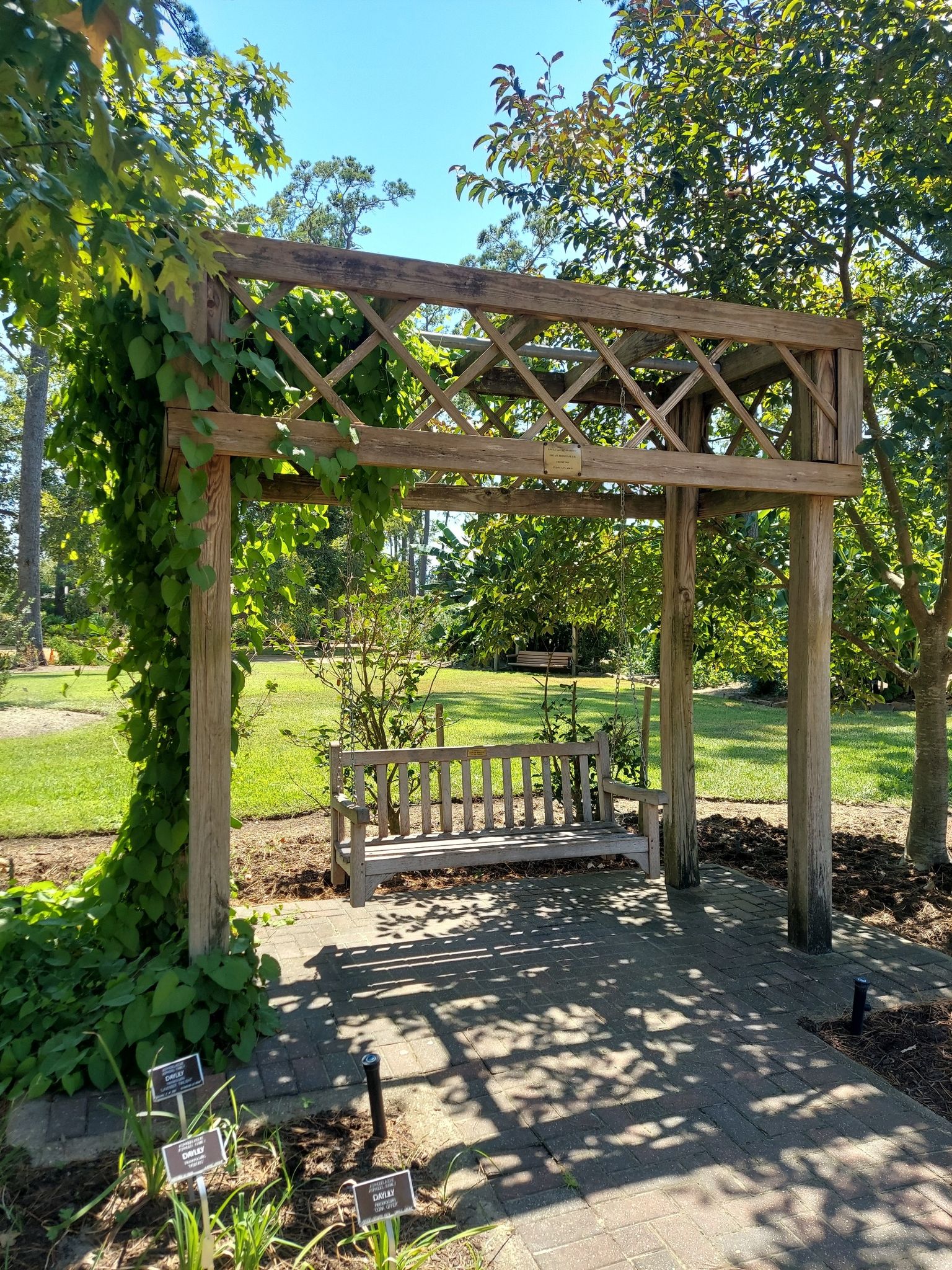Sunny garden with a wooden arbor, swing bench, and dappled light. - Mercer Arboretum and Botanical Gardens Trail