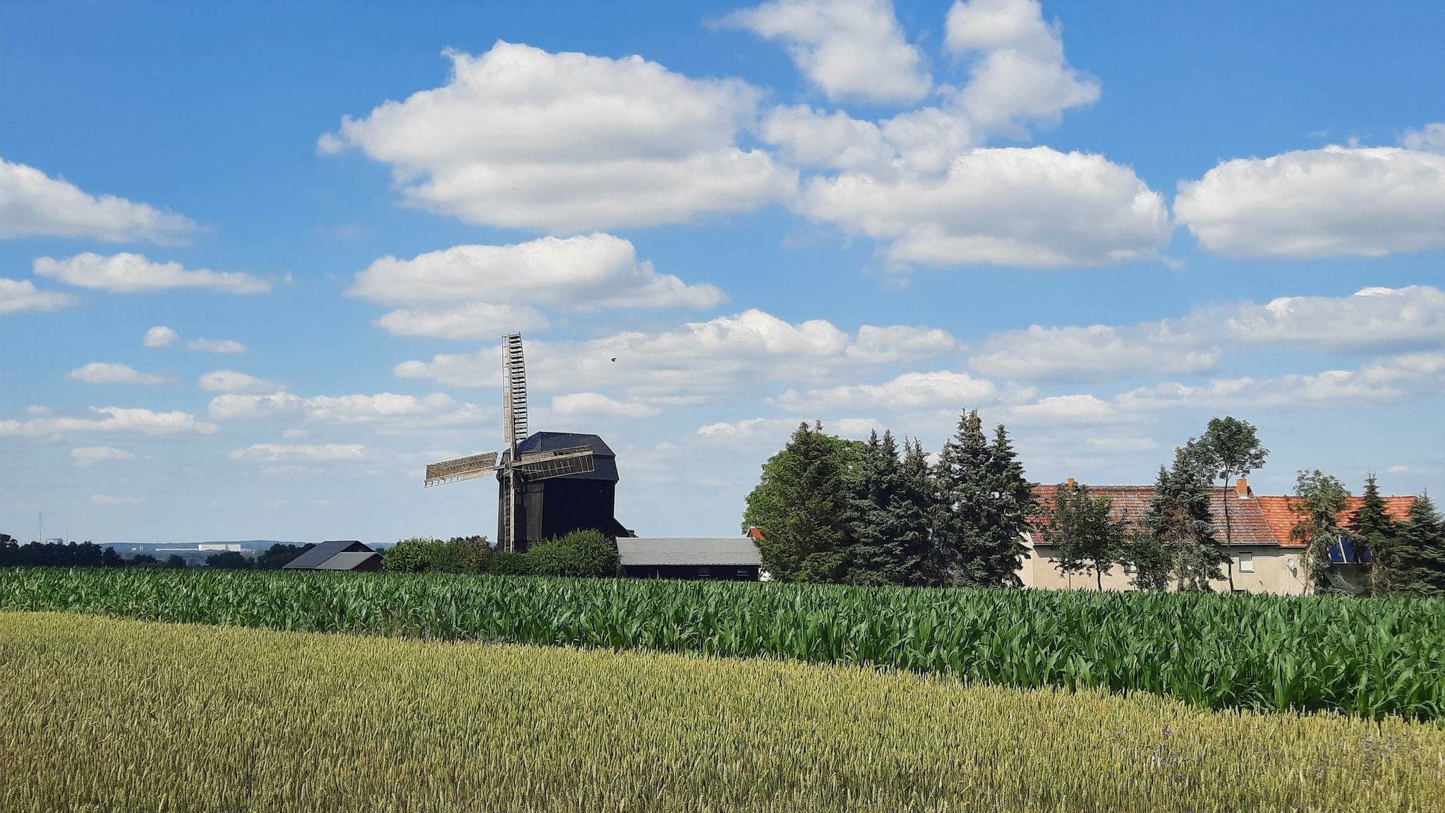 Bockwindmühle Ebersbach / Naundorf