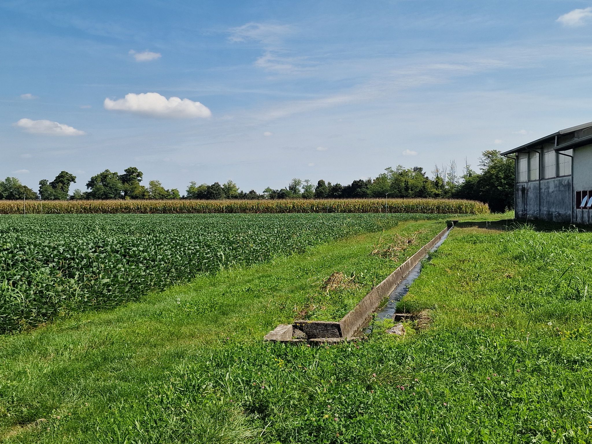 Wegstrecke durch Botanik