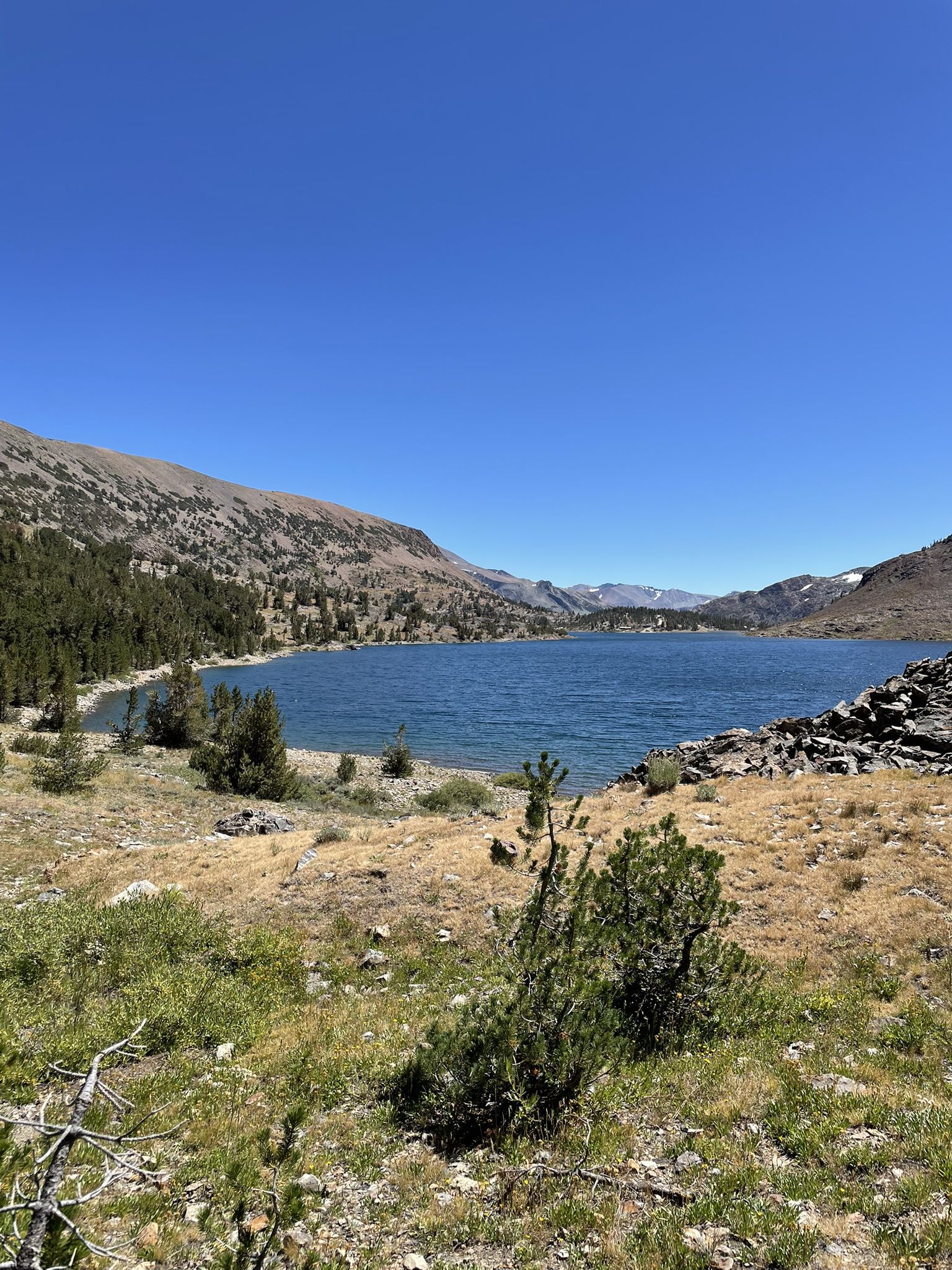 Vast blue lake nestled among mountains with green and dry vegetation, clear sky. - Saddlebag Lake Loop Trail