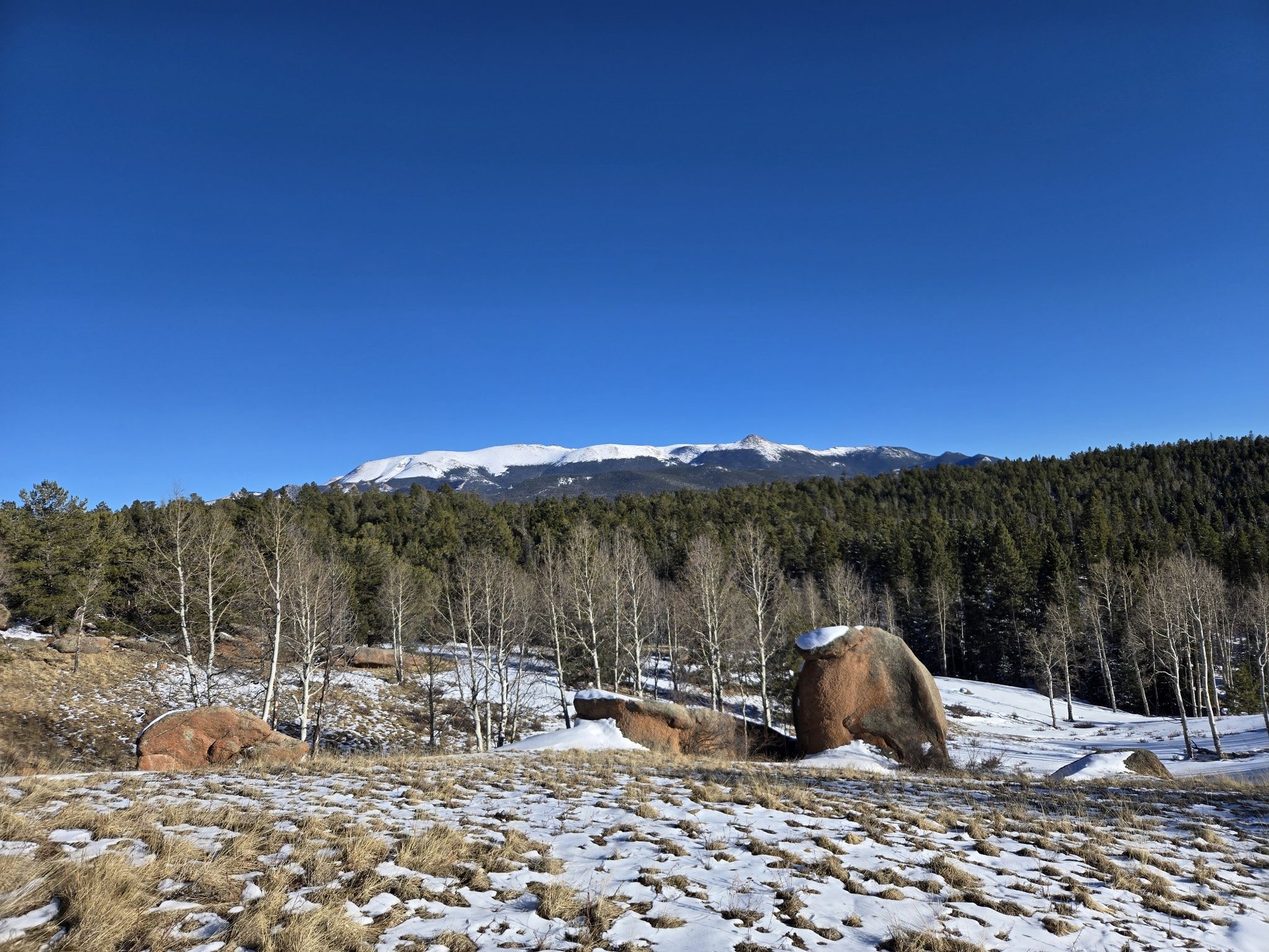 Sunny winter landscape with snow-dusted boulders, evergreen trees, and distant snowy mountains. - Cheesman Ranch Loop