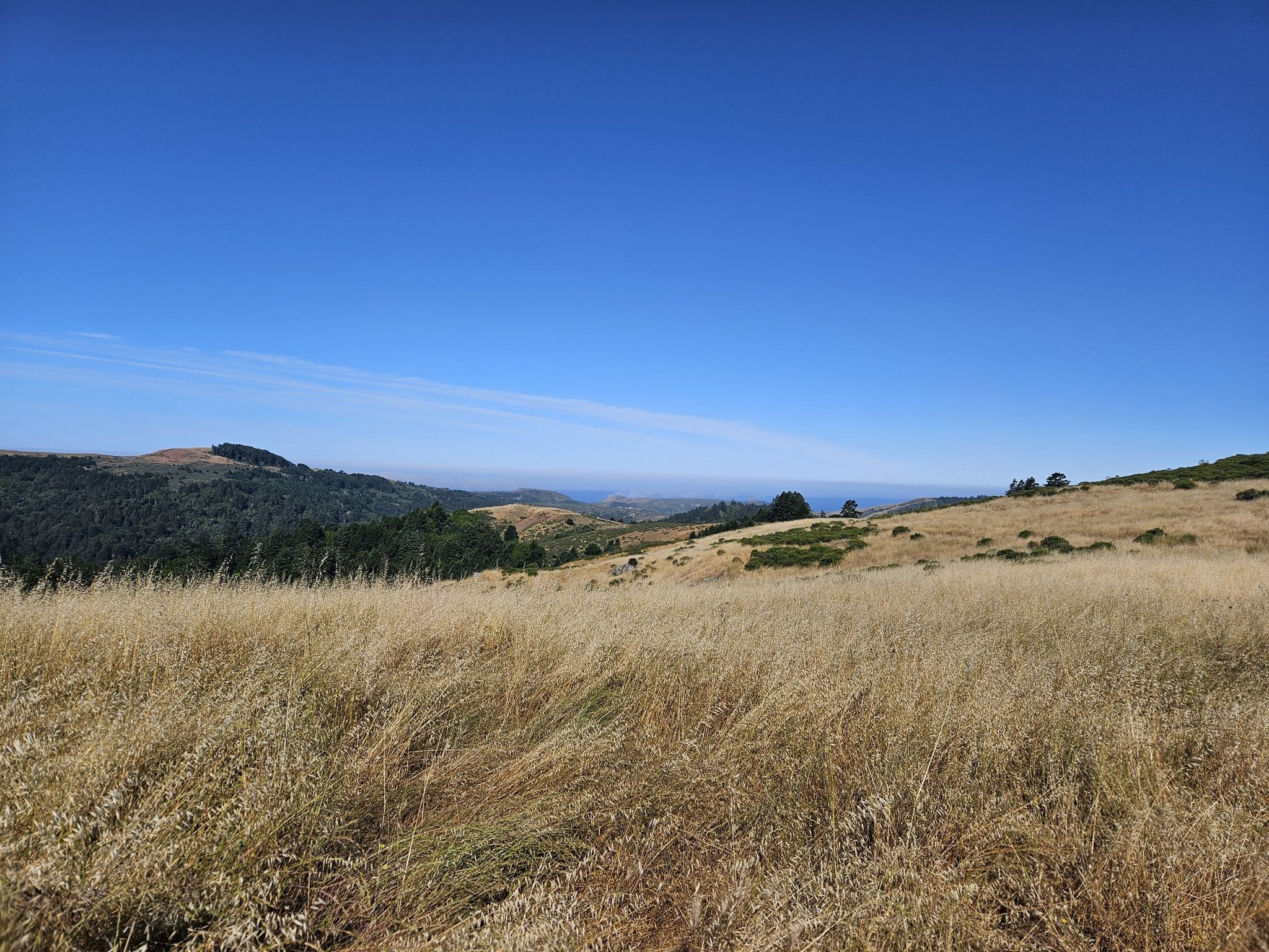 Wide view of golden grass fields and distant hills under a clear blue sky. - Island in the Sky and Fern Tree and Badger Hill Vista Trail Loop