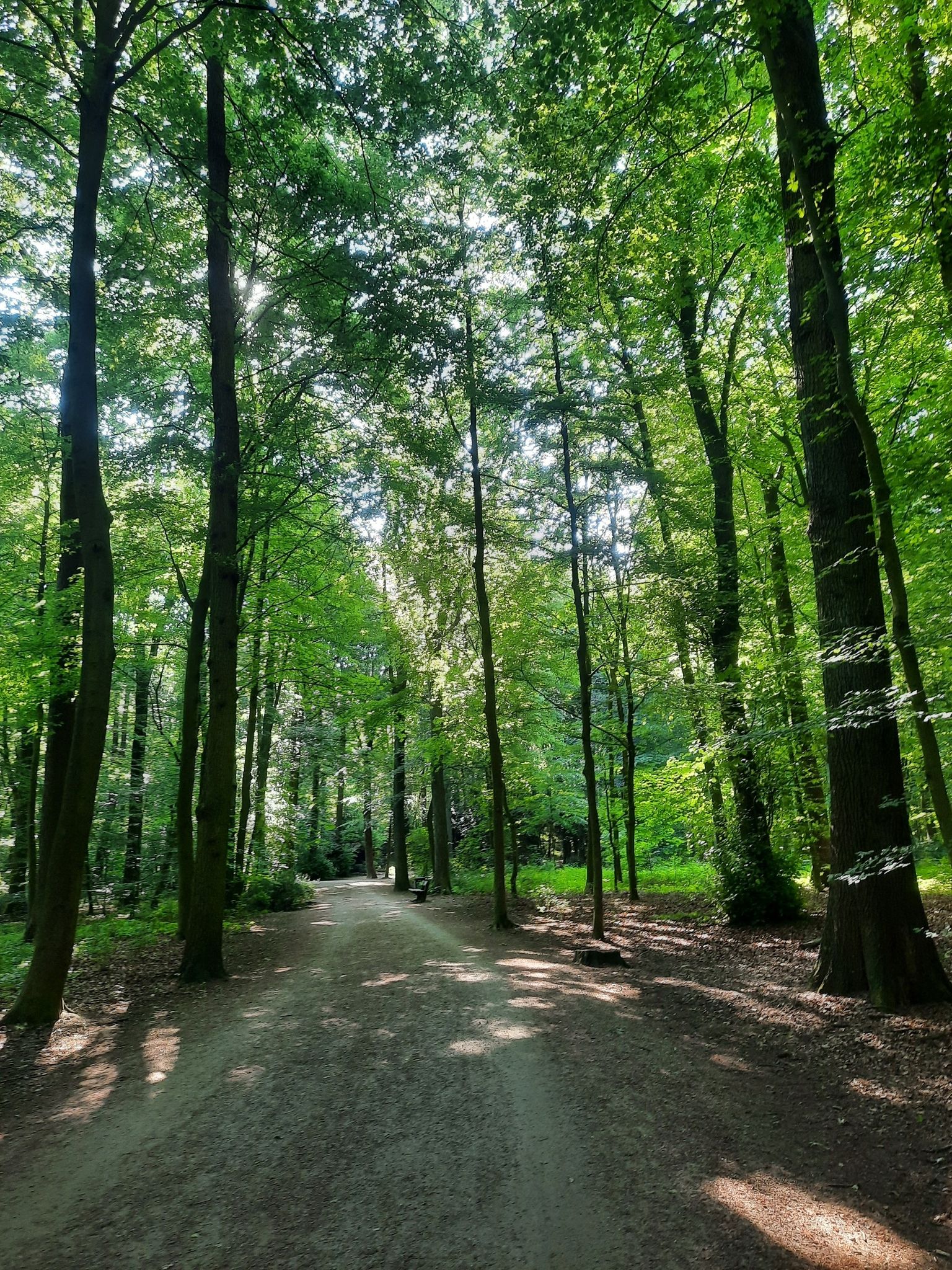 Stadtpark