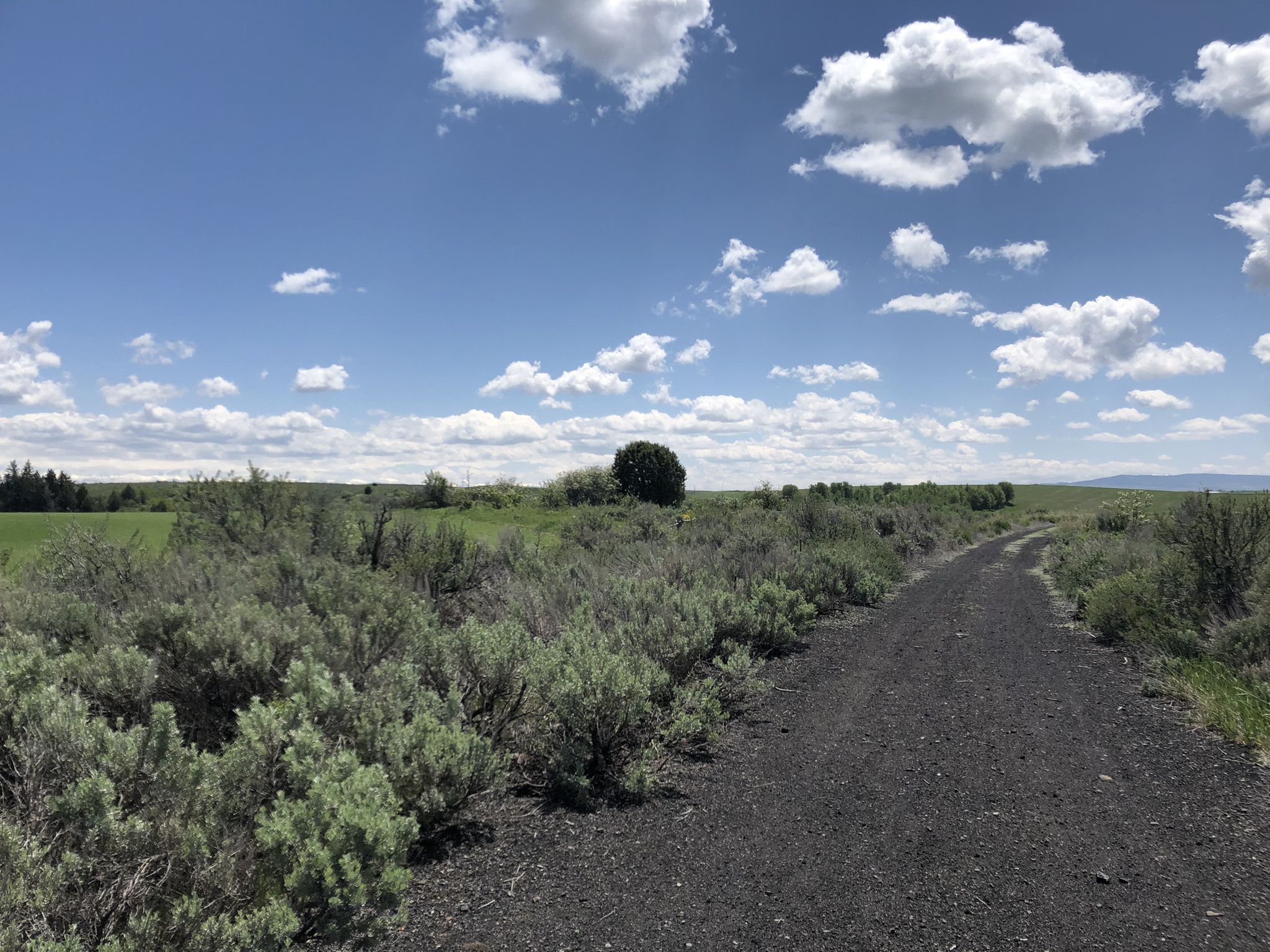 A gravel road cuts through a flat, brushy landscape under a bright, cloudy sky. - Ashton-Tetonia Rail Trail