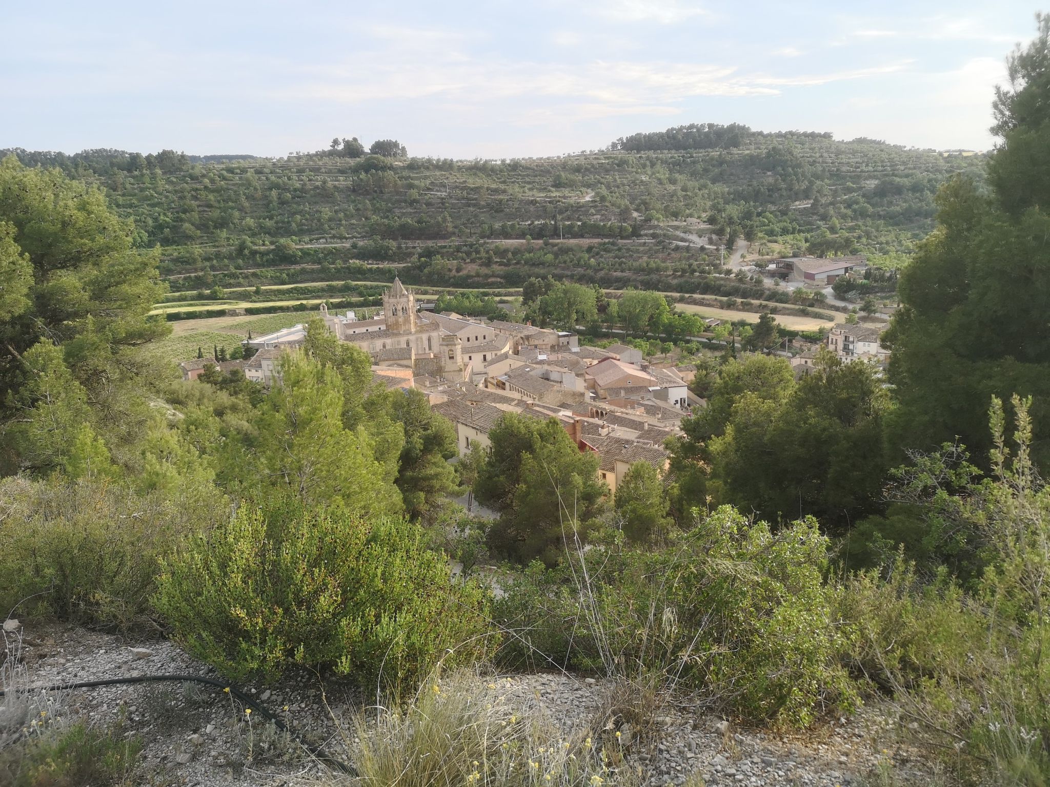 Vallbona de les Monges