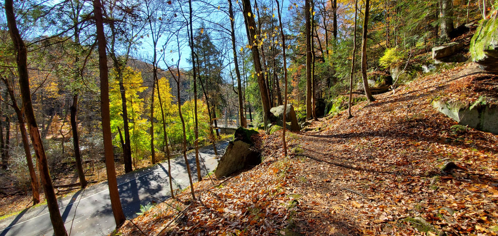 A leaf-covered forest path on a sunny day, with a bridge in the distance. - Lanterman's Mill – Mill Creek Suspension Bridge loop from Lost Island
