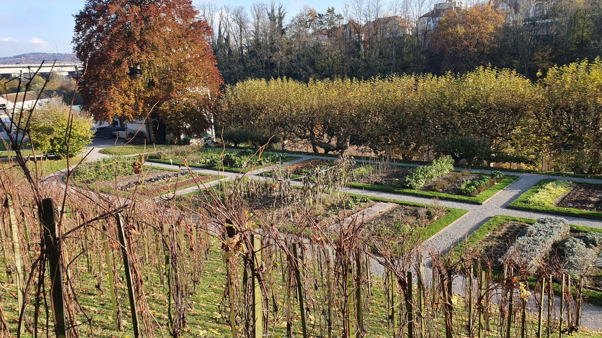 kloster garden