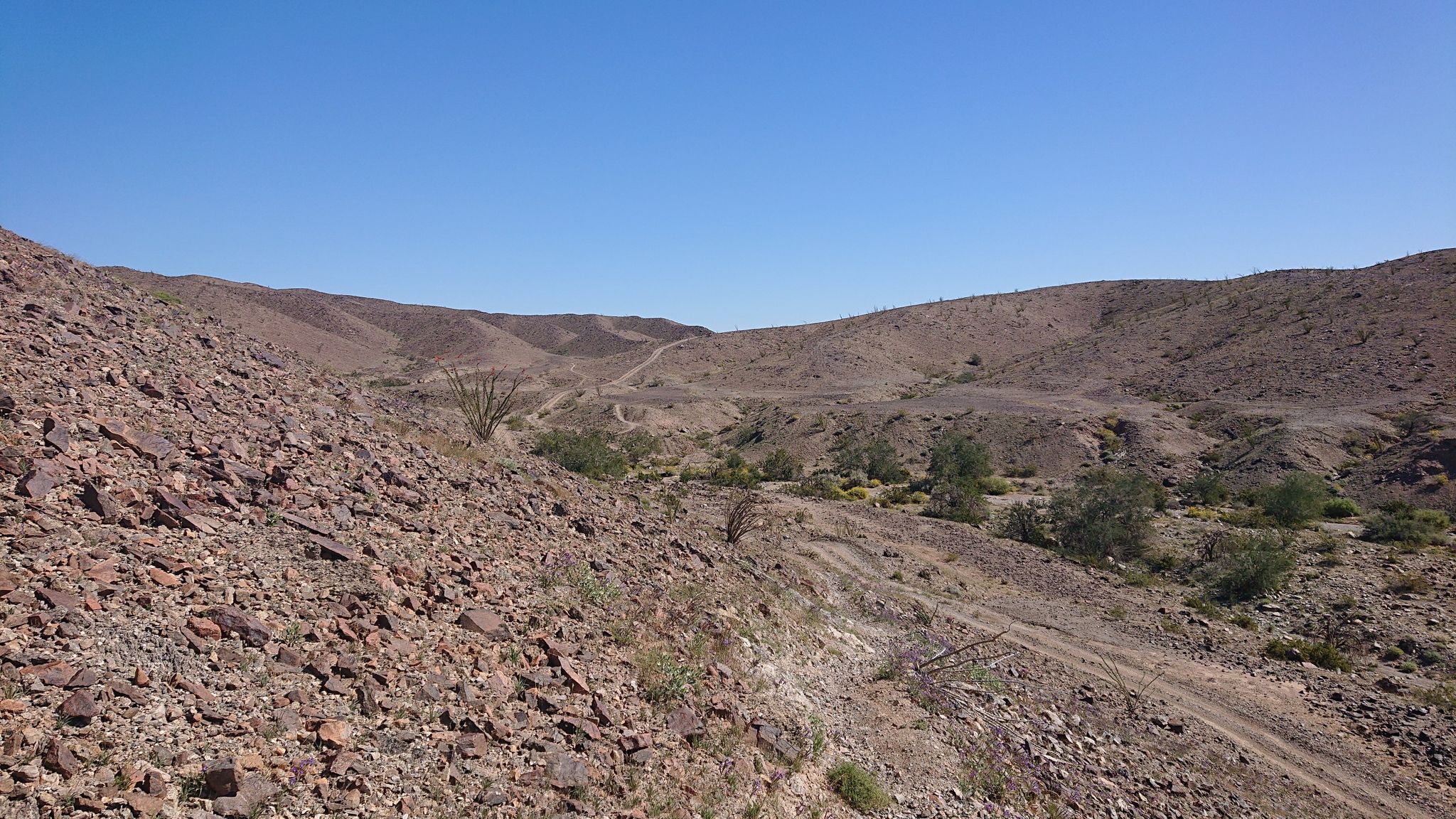 A dirt path winds through rocky desert hills under a clear blue sky. - Marty's Ridge loop