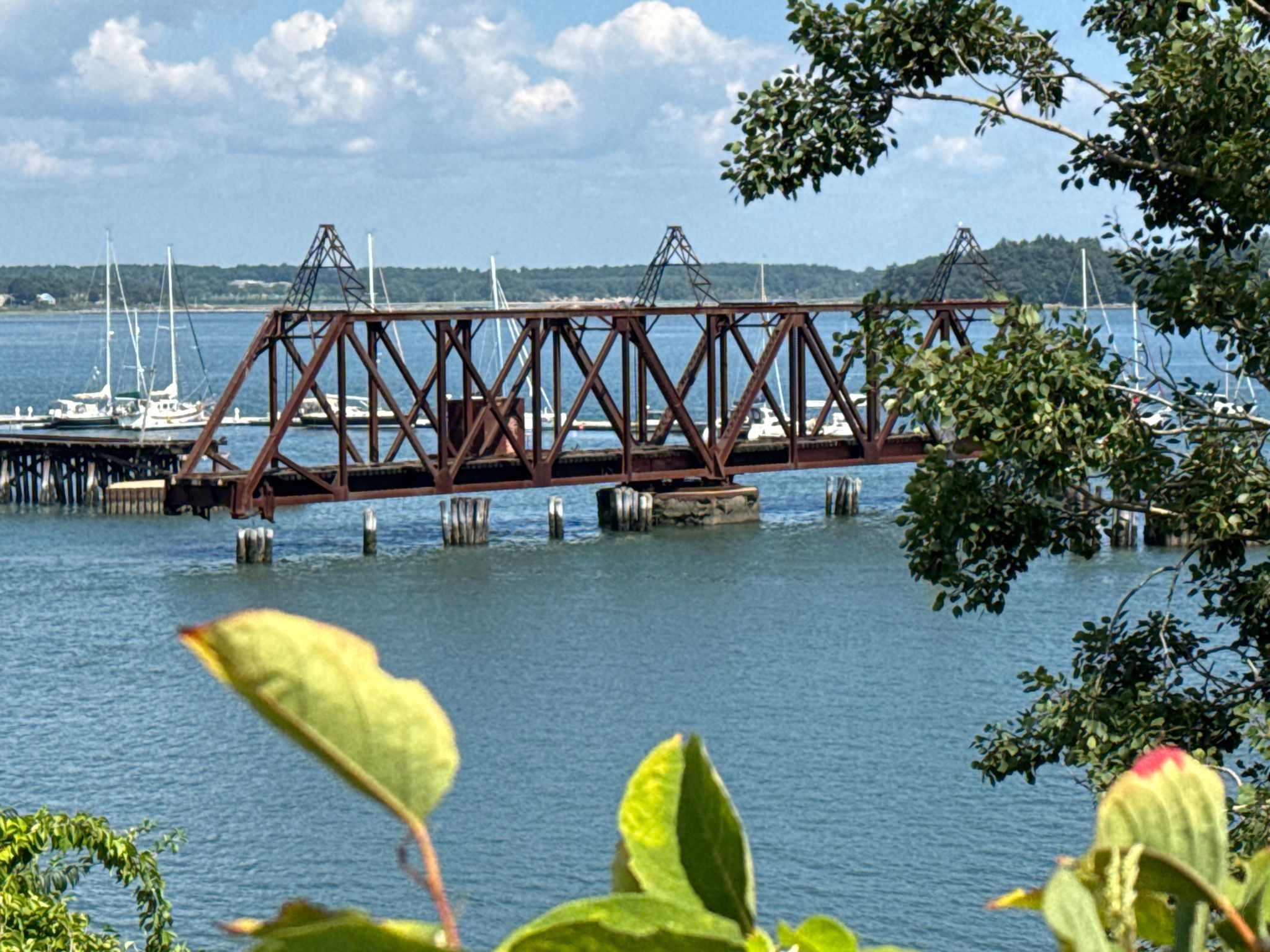 Metal bridge over water with boats, framed by green leaves. - Baxter Boulevard Bike Route – Views of Casco Bay loop from Portland