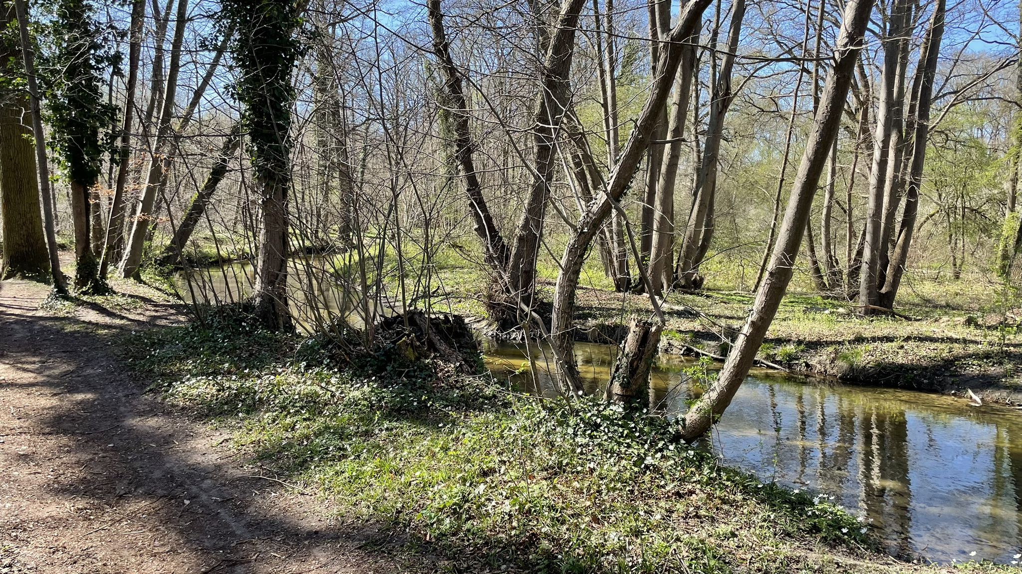 Sentier le long de la Nouvelle Thève