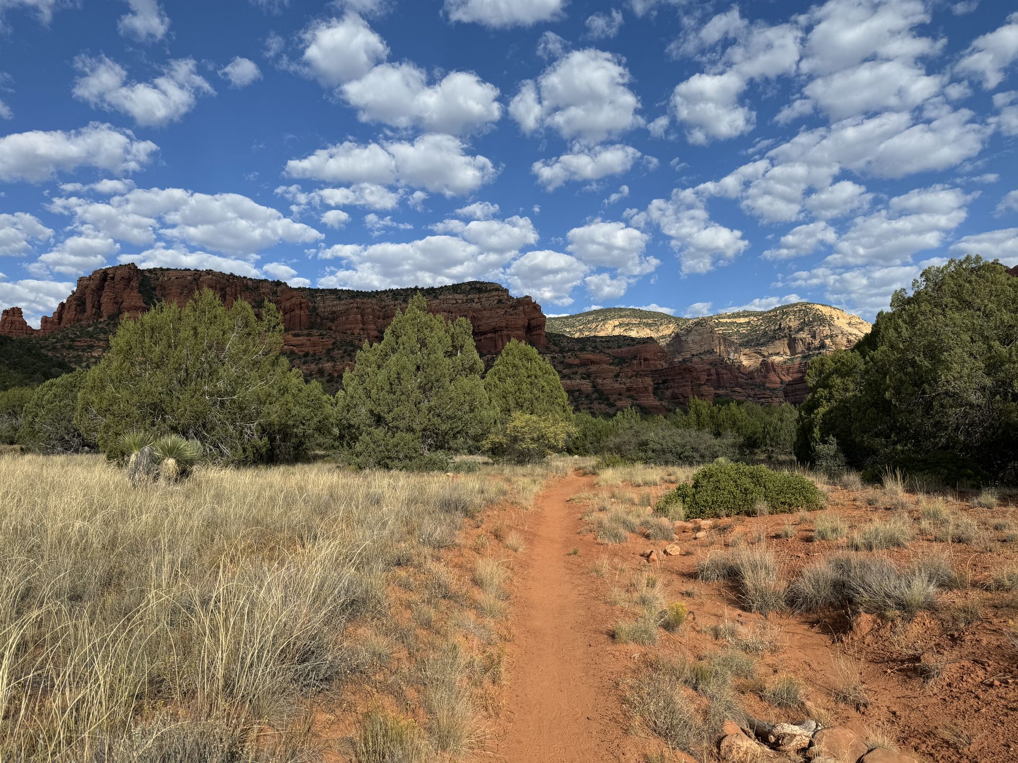 Red dirt path through grassy fields leading to red rock mountains. - Mescal Mountain and Cockscomb Loop