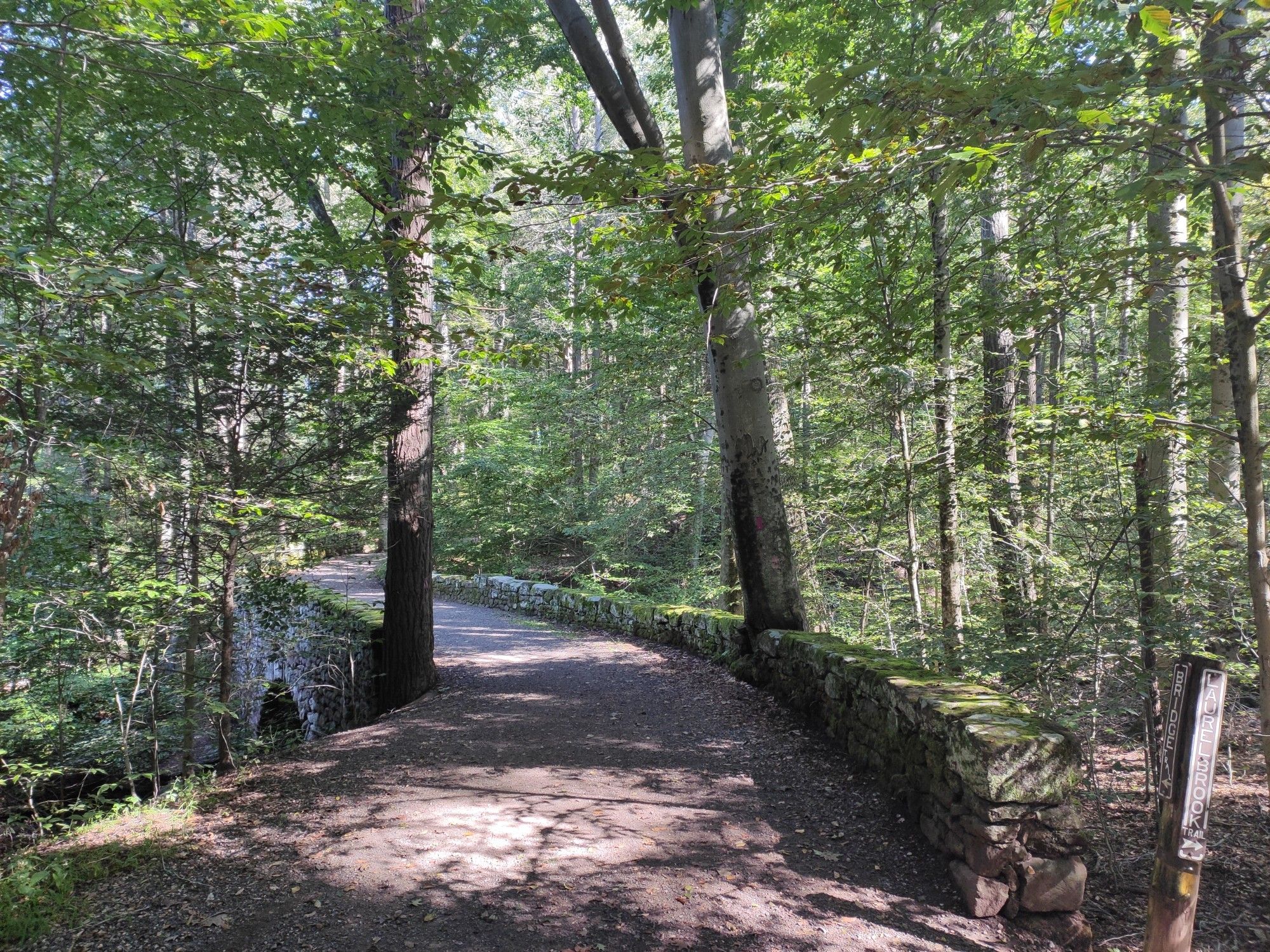 Stone bridge and path through a sunlit, dense green forest. - Main Trail
