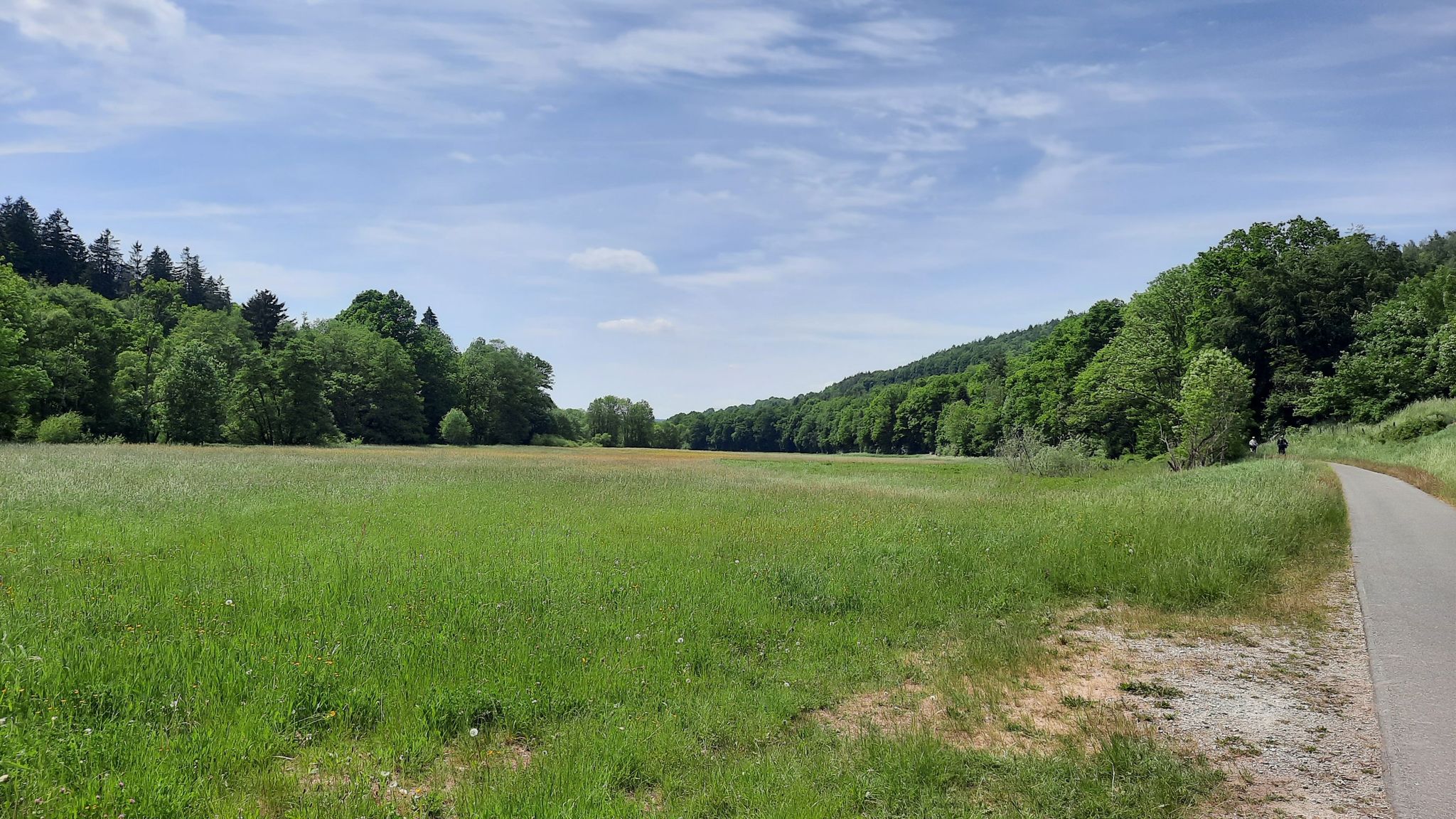 Fuldaaue bei Altenfeld