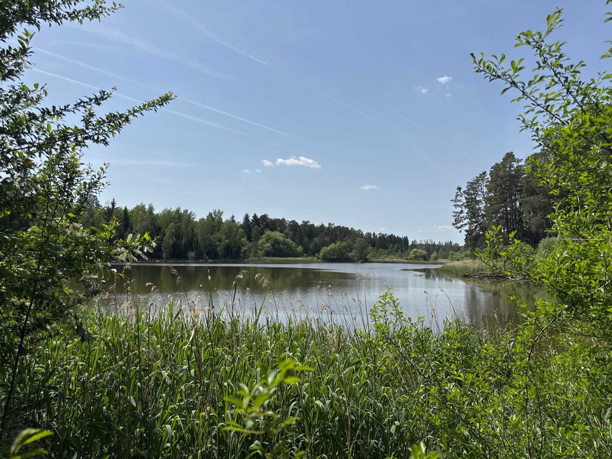 auf dem Weg nach Nittenau