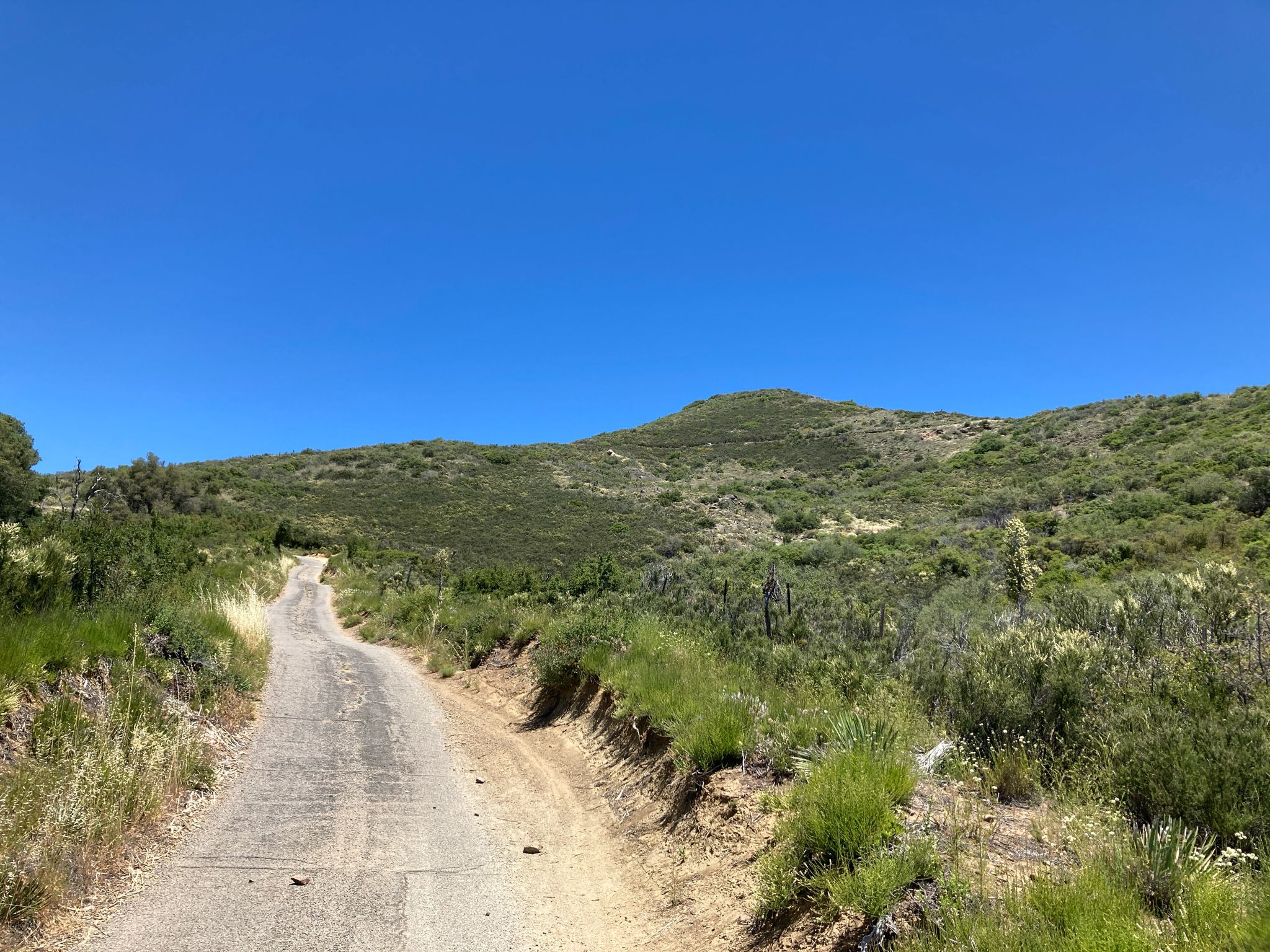 Dirt road ascends a gentle green hillside under a clear bright blue sky. - Noble Canyon and Indian Creek Loop