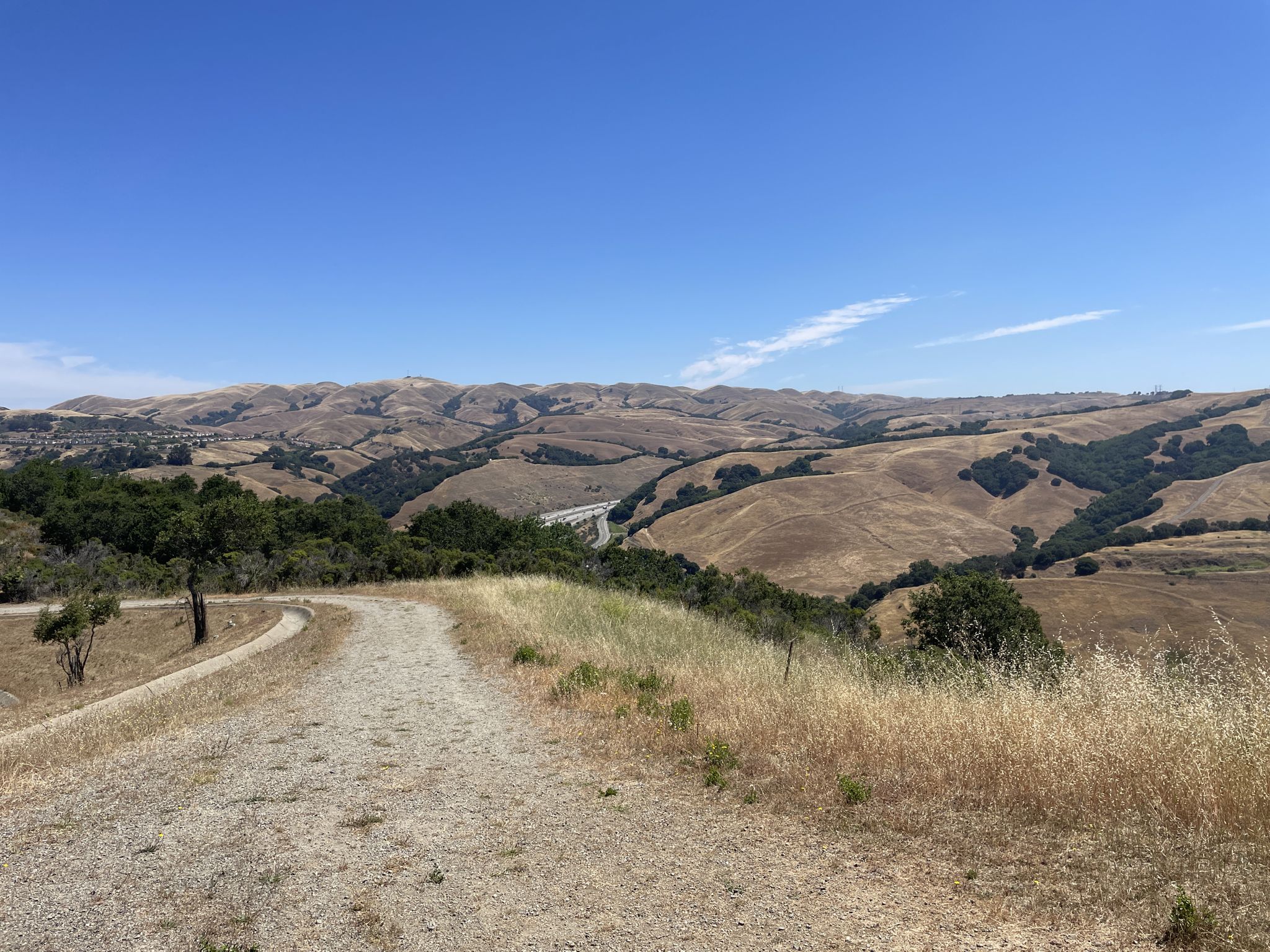 Dirt path winding through dry, rolling hills under a clear blue sky. - Chabot-to-Garin Regional Trail