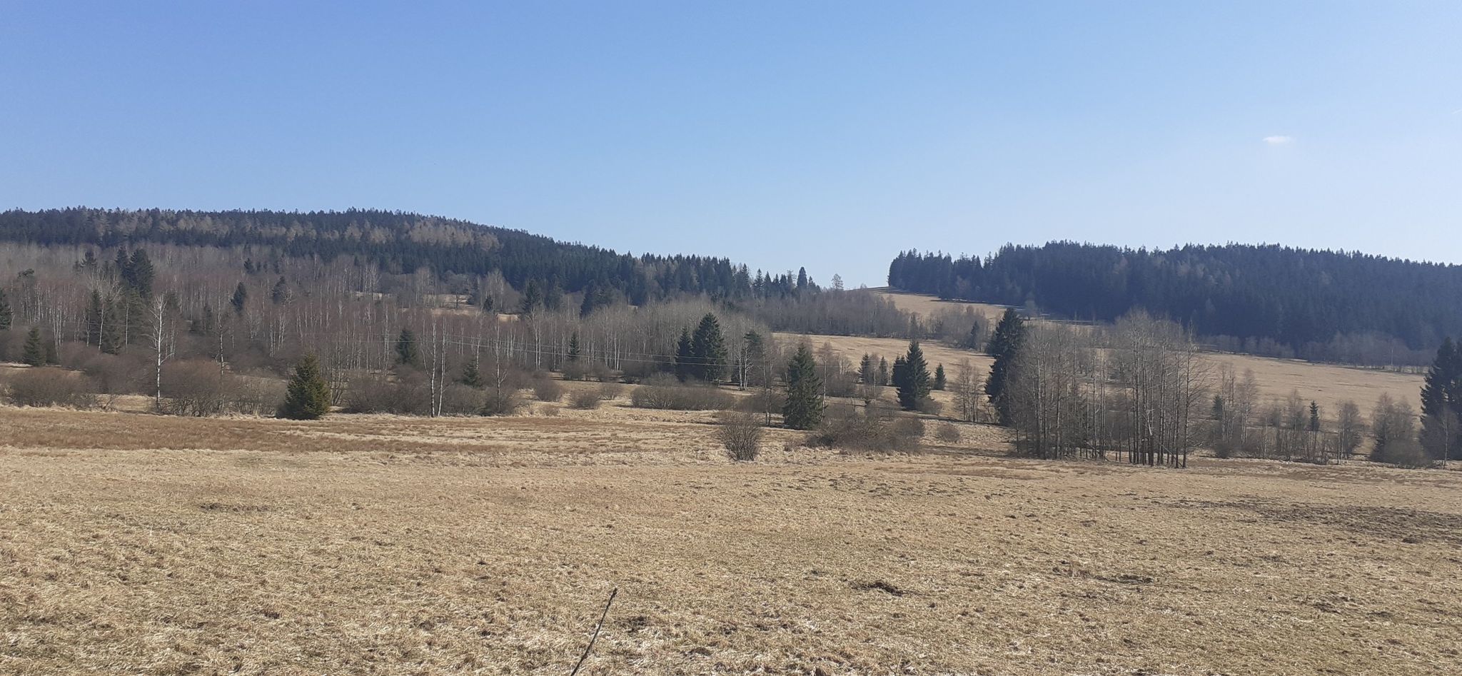 Natur pur