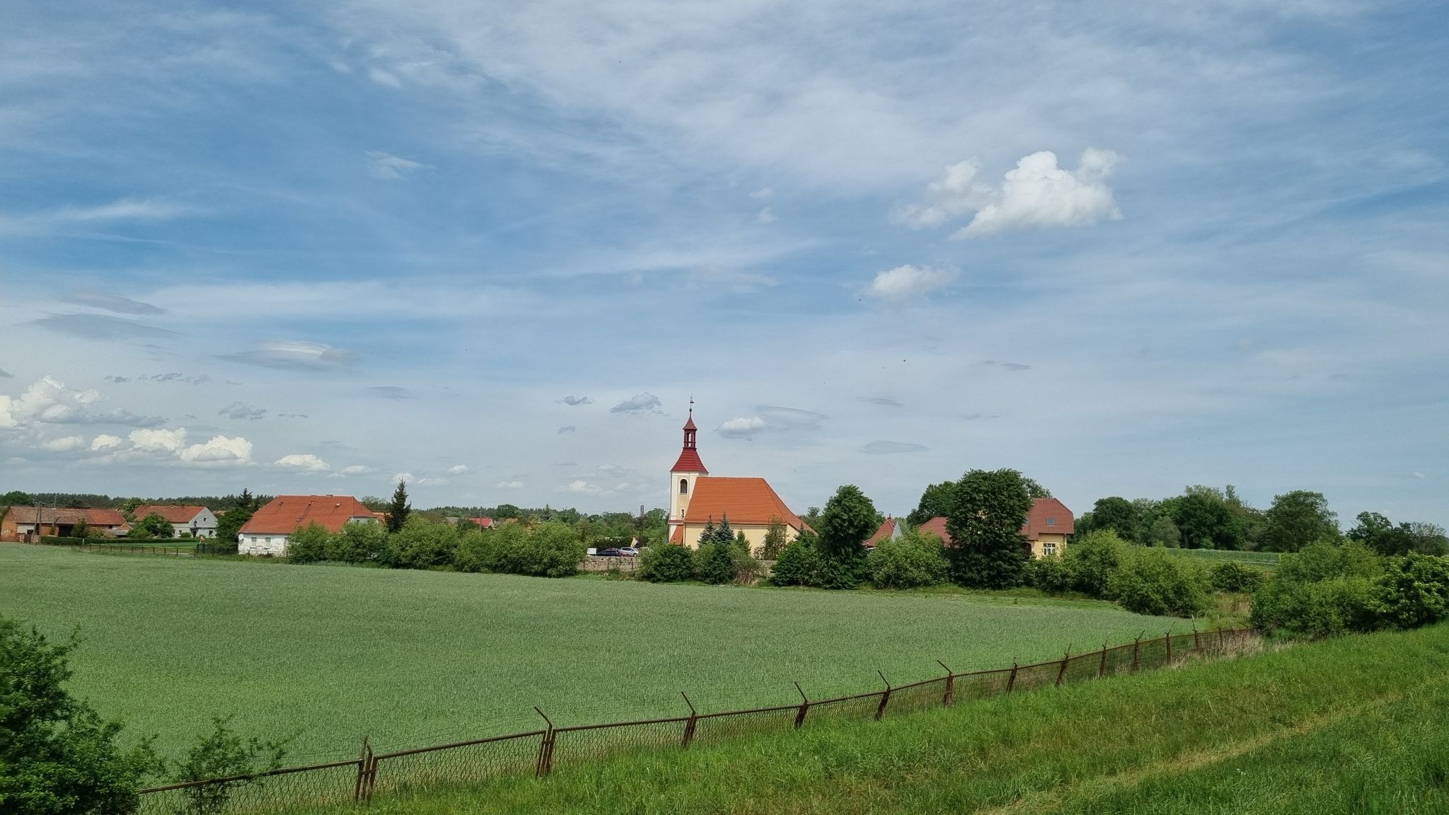 Wilków