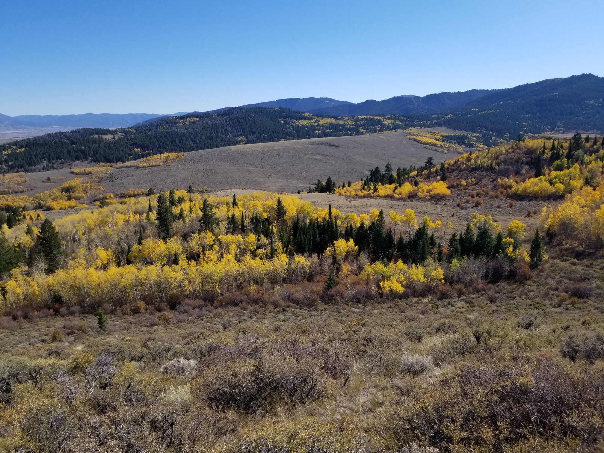 Expansive autumn landscape with golden trees, green forests, and distant mountains. - Curt Gowdy State Park loop