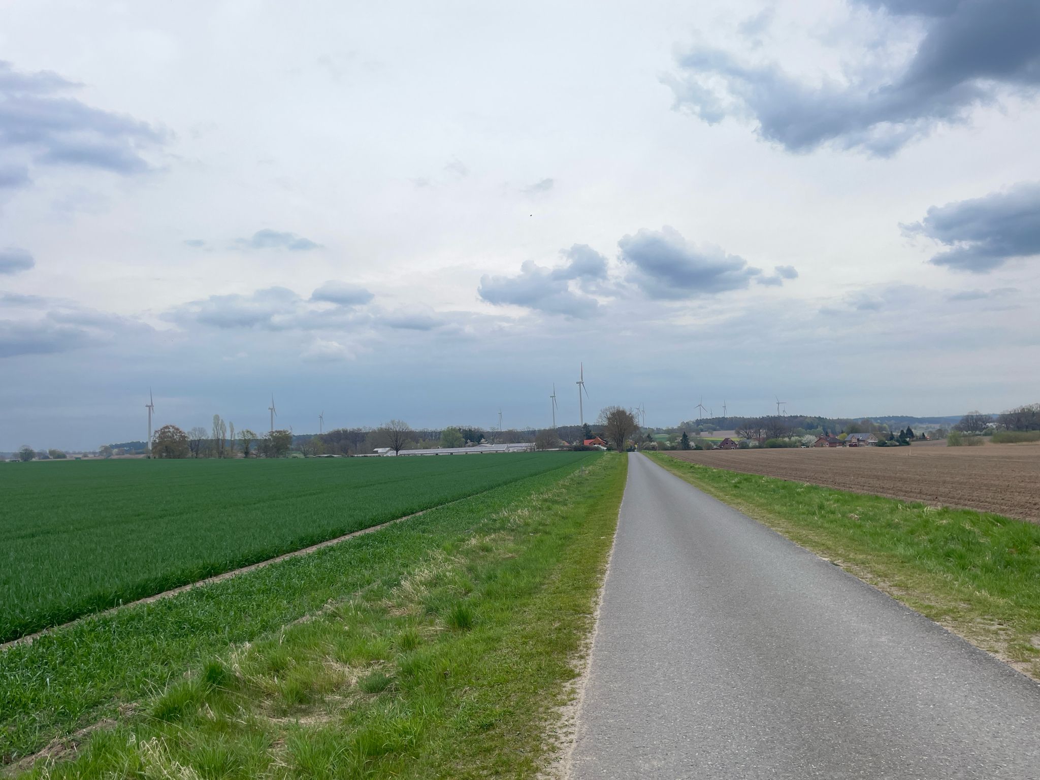 Blick auf Dahlem