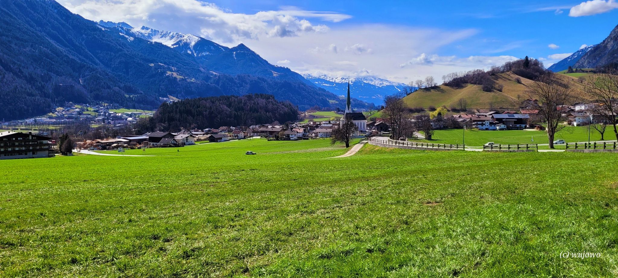 Wiesing