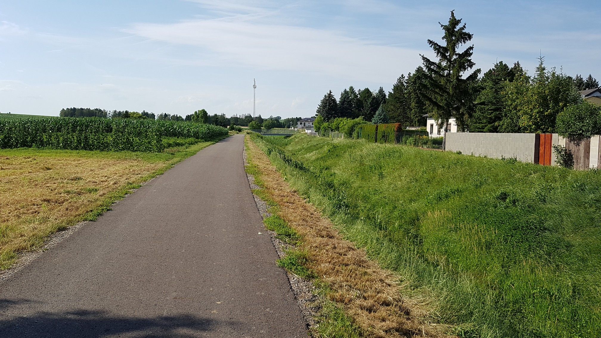 Weg neben Mistel zur "Seestadt"
