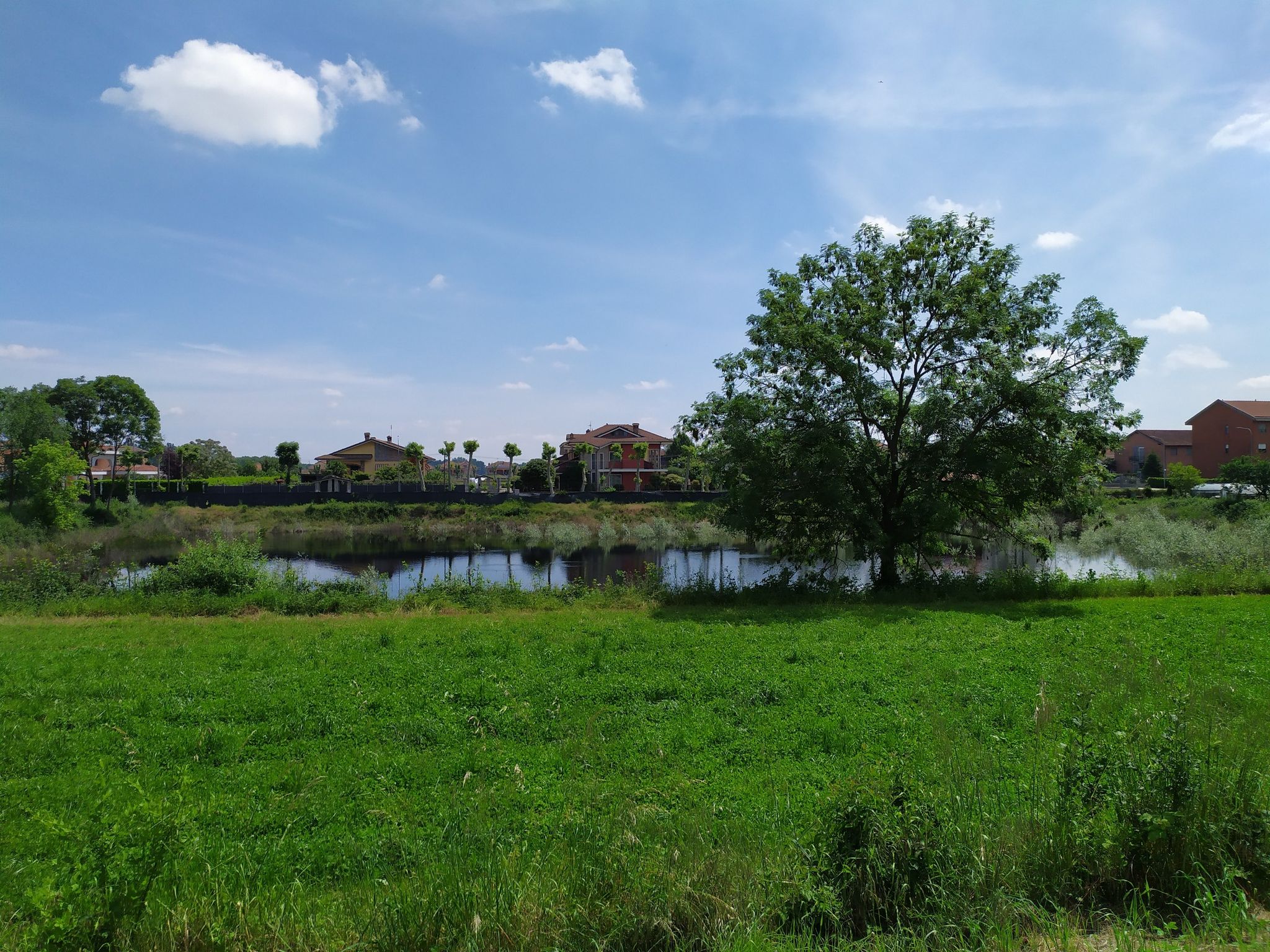 Lago Gingo
