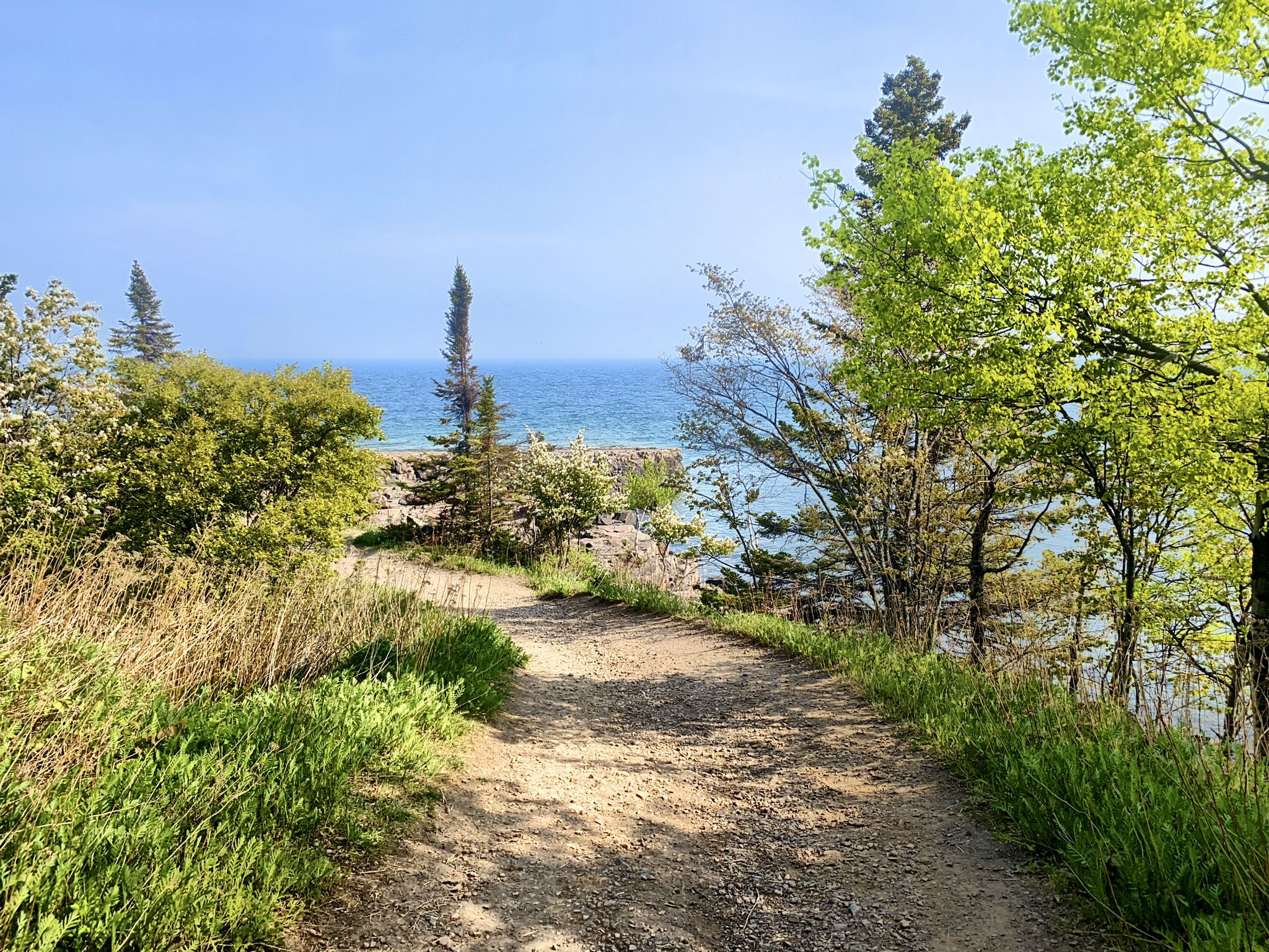 Dirt path through green foliage, leading towards a blue ocean under a bright sky. - Two Harbors Lighthouse