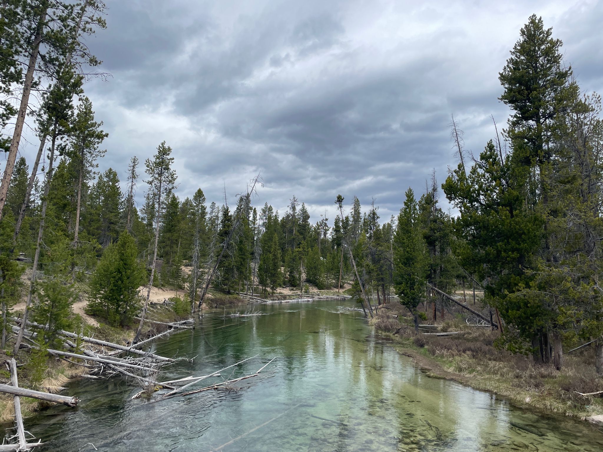 A clear river flows through a dense pine forest under a cloudy sky. - Redfish Lake loop