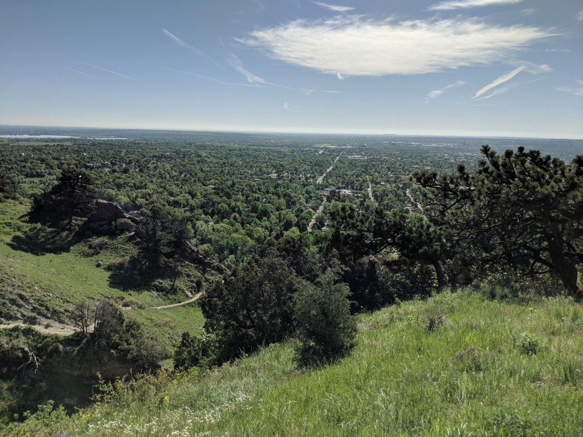 Panoramic view of a vast green forest and distant horizon on a clear day. - View from Goat Path Trail – Dakota Ridge Trail loop from Boulder