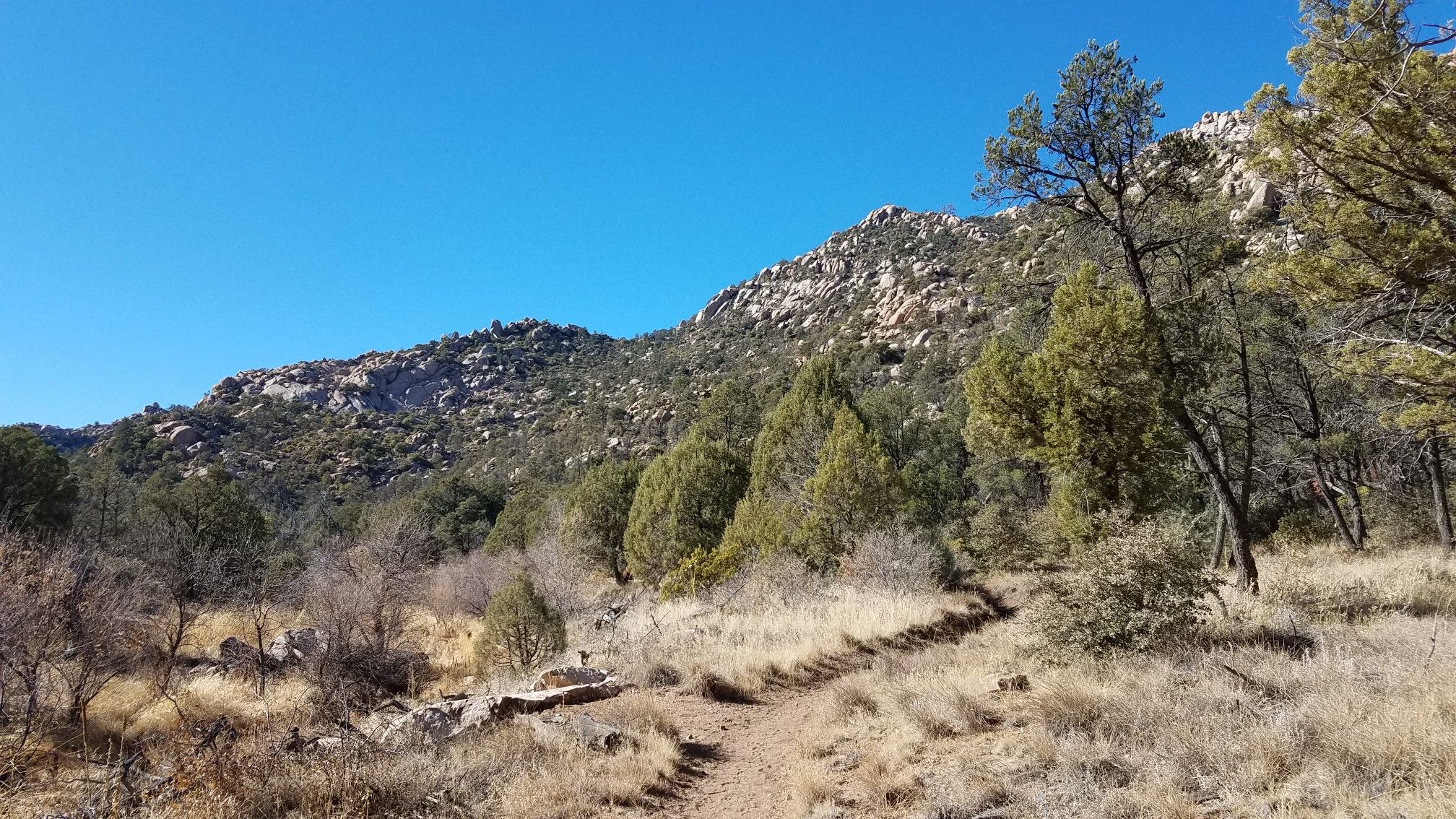 Sunny dirt path leads to rocky, tree-covered mountain under clear blue sky. - Mint Wash Trail
