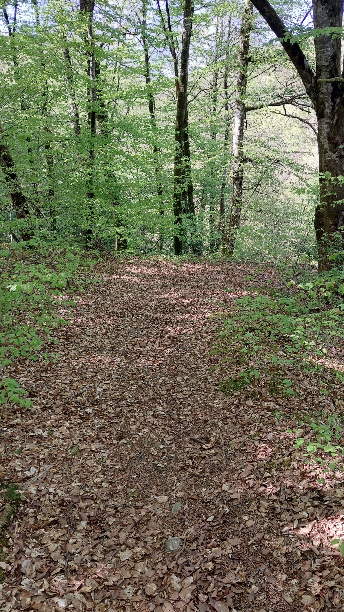 chemin pédestre gouffre des cloches 