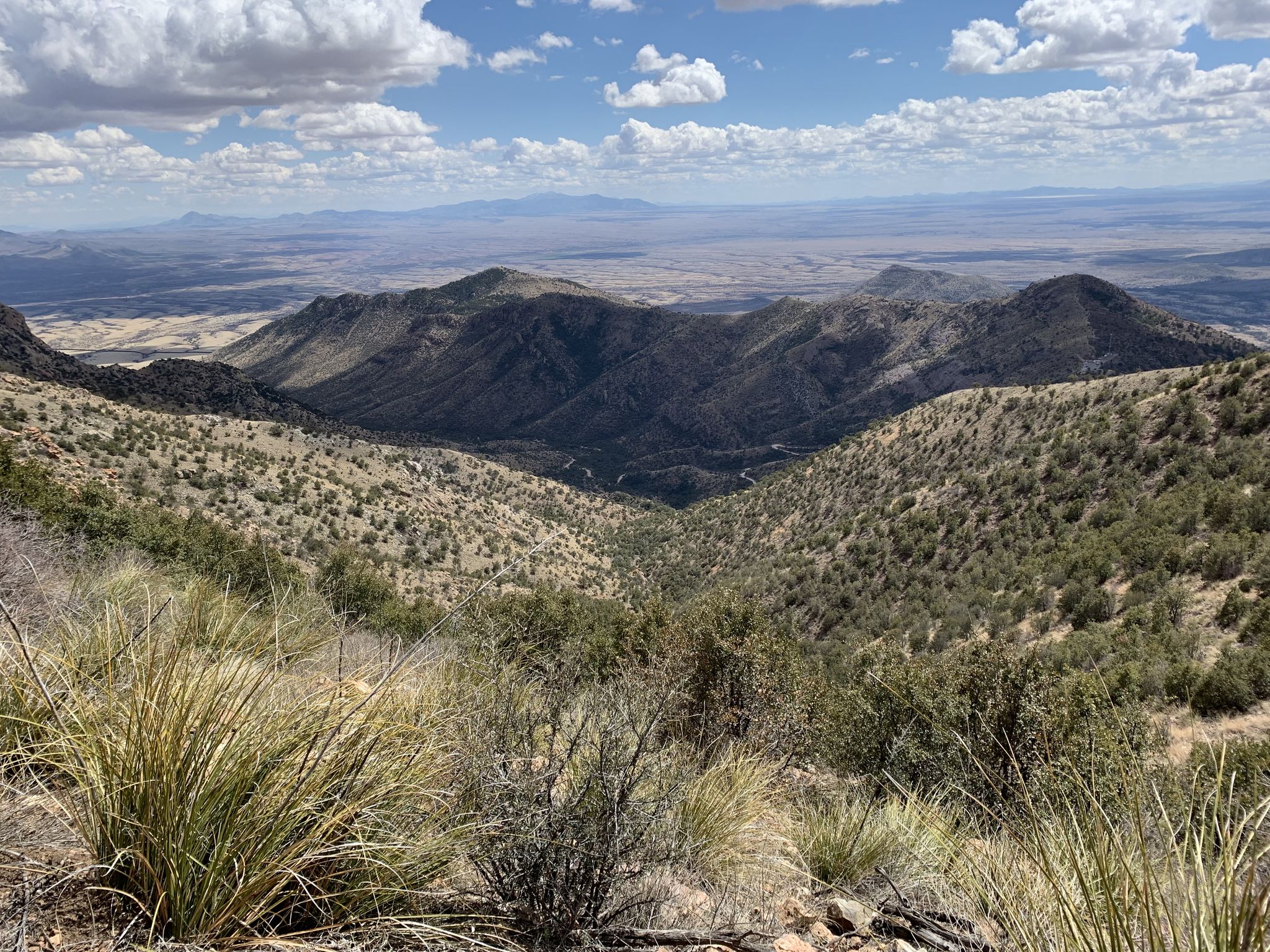 Wide mountain valley with dry vegetation under a partly cloudy sky. - Montezuma Pass – Miller Peak loop from Miracle Valley