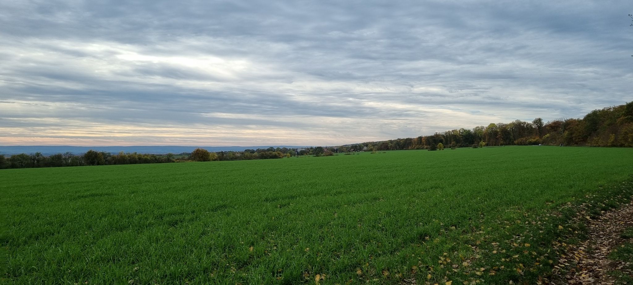 Blick auf Volkenroda