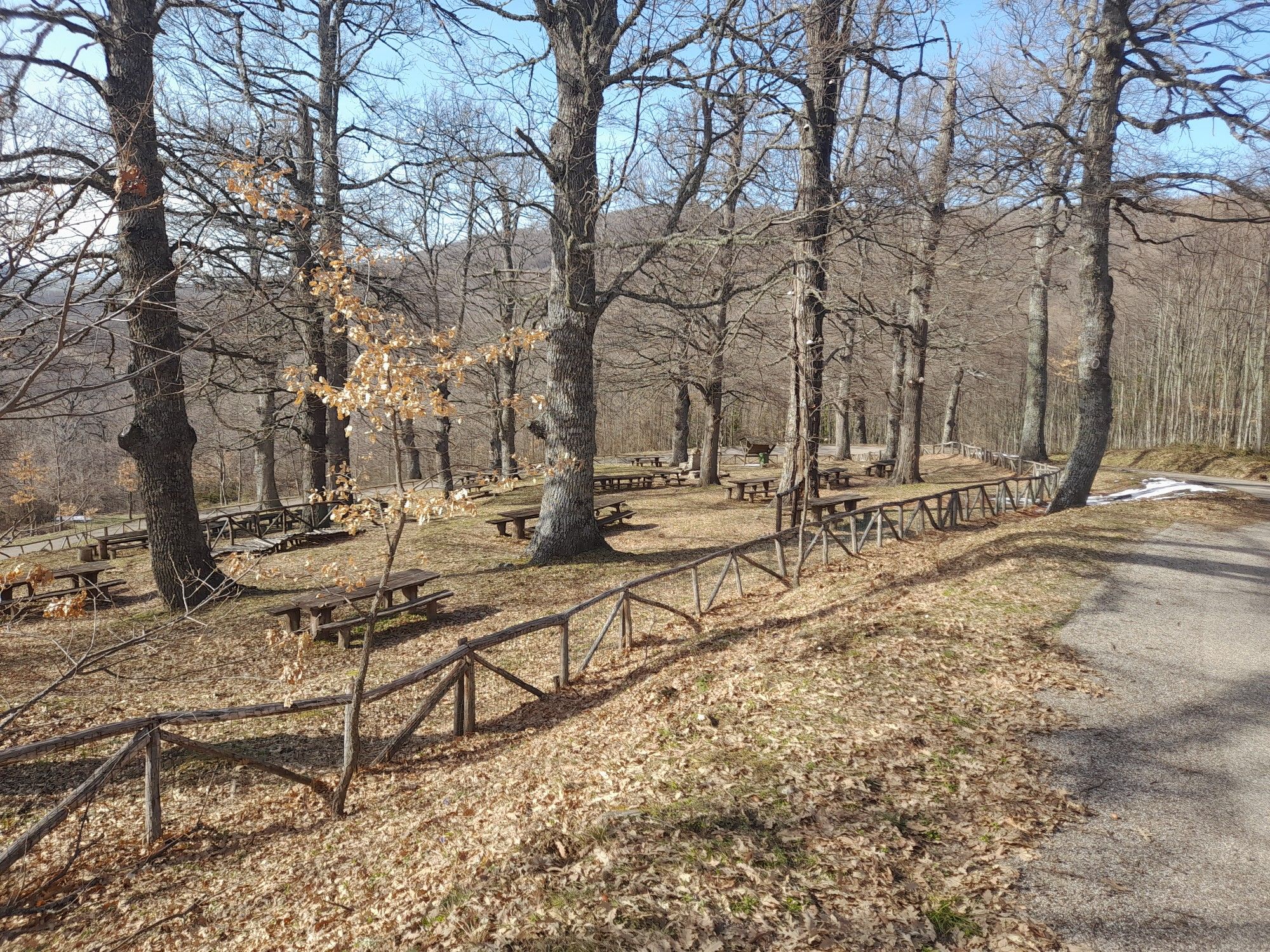 area picnic