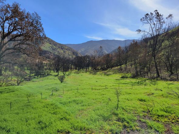 Lake Berryessa Loop | road ride | Komoot