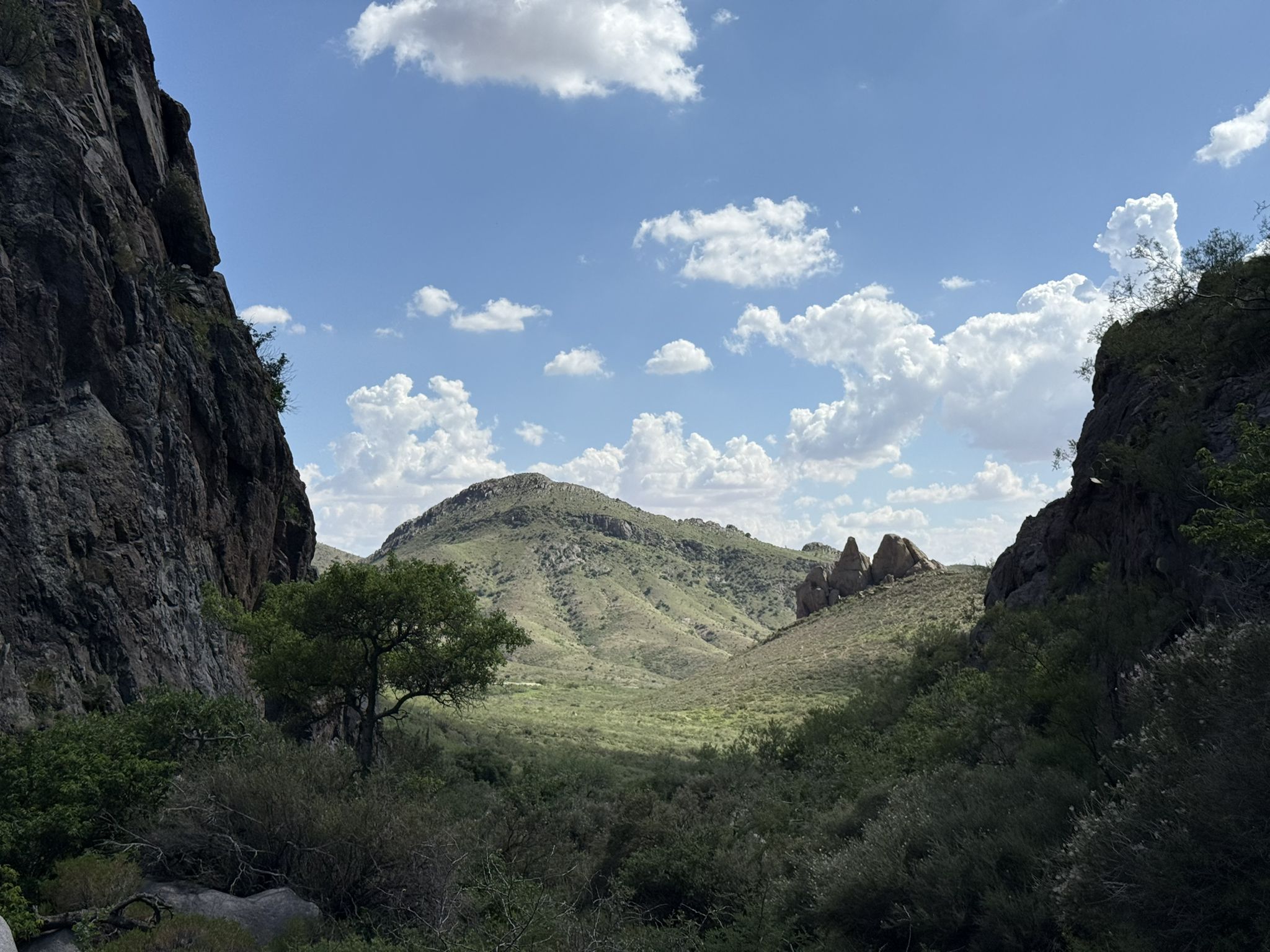 A lush green valley nestled between steep rocky cliffs under a cloudy sky. - Organ Peak Trail