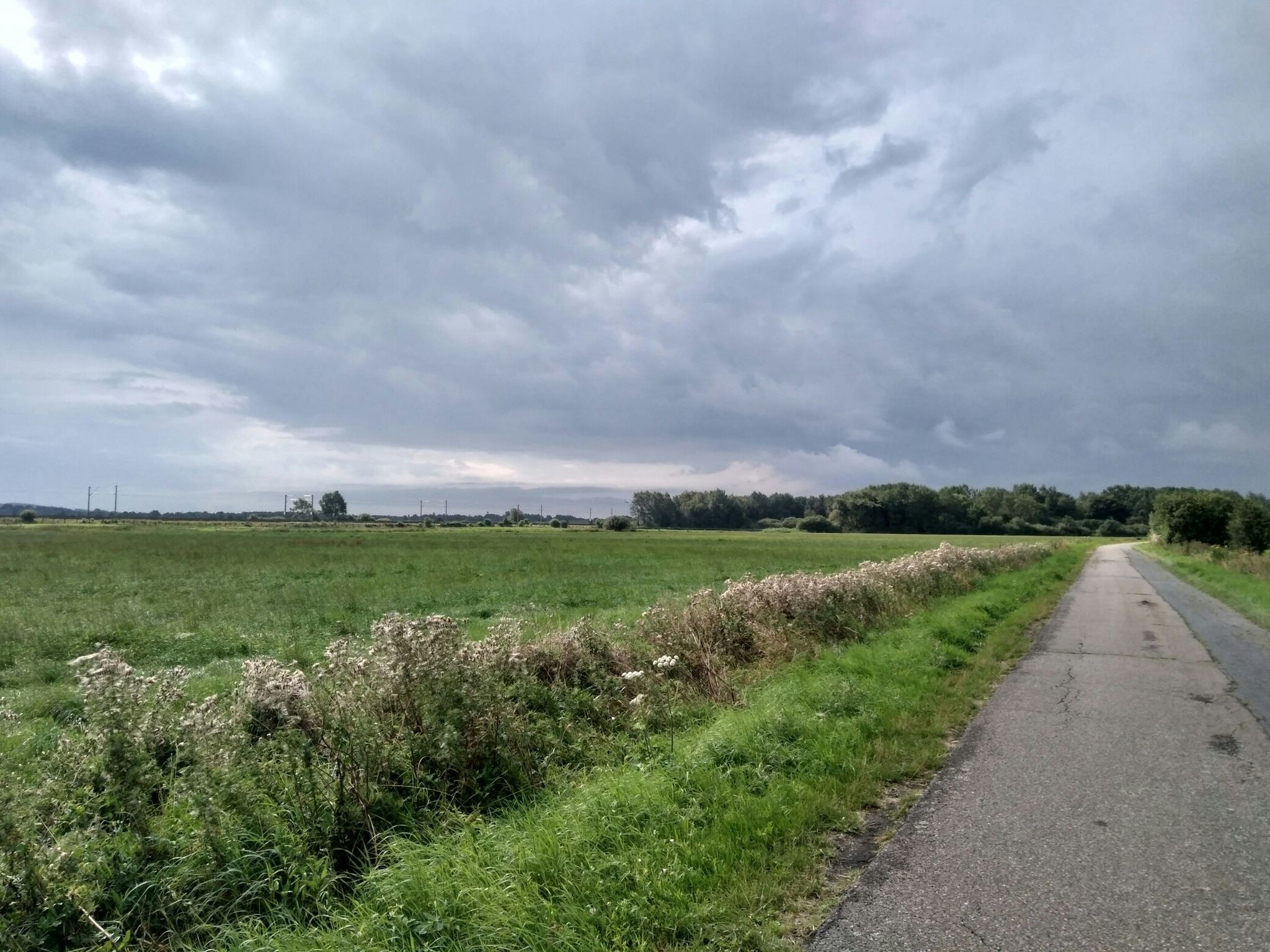 Lottorfer Weg